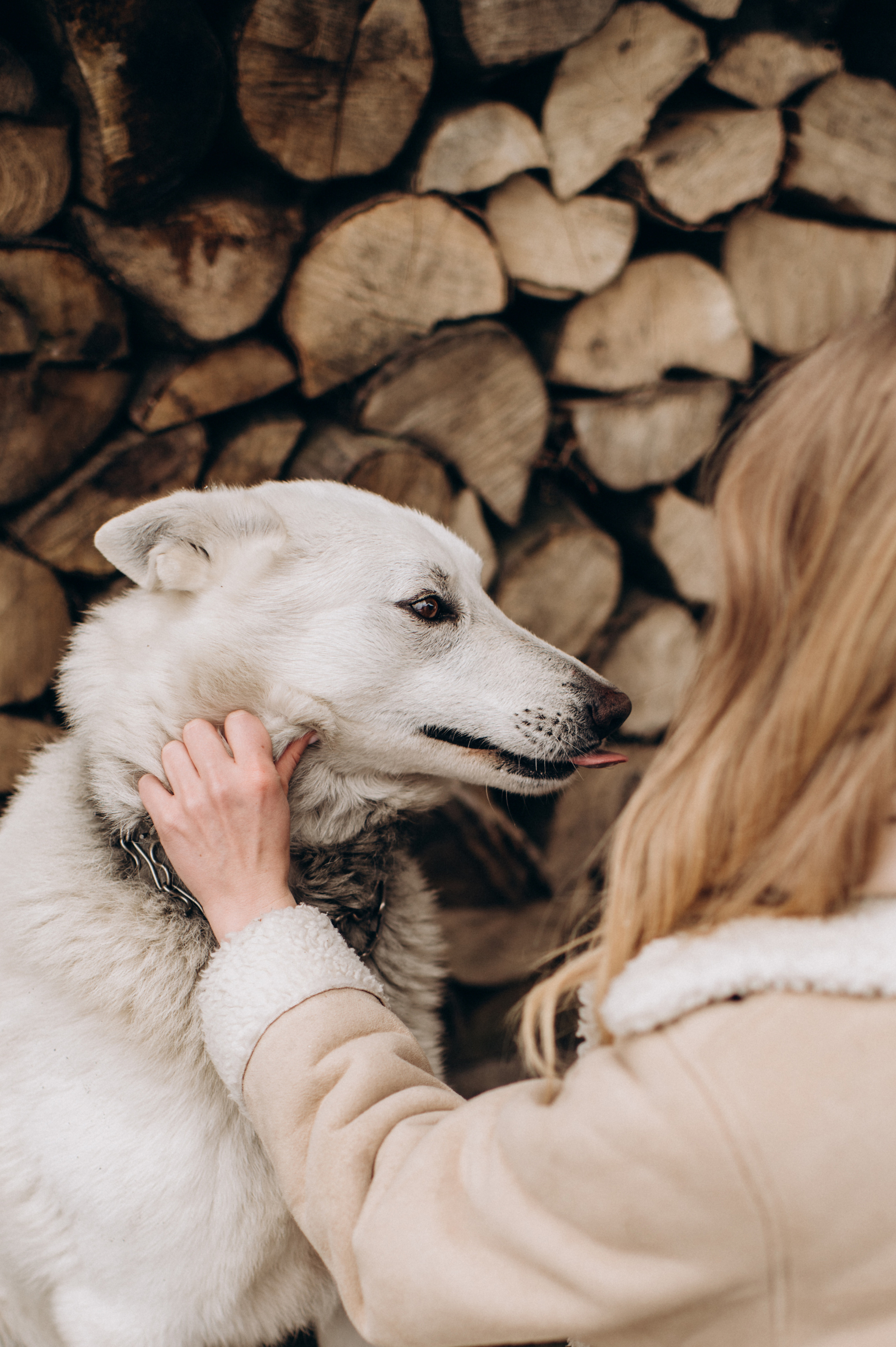 Зйомка з собакою Oleksandra & Volt. Сімейний, дитячий та індивідуальний фотограф в м. Тернопіль, м. Львів