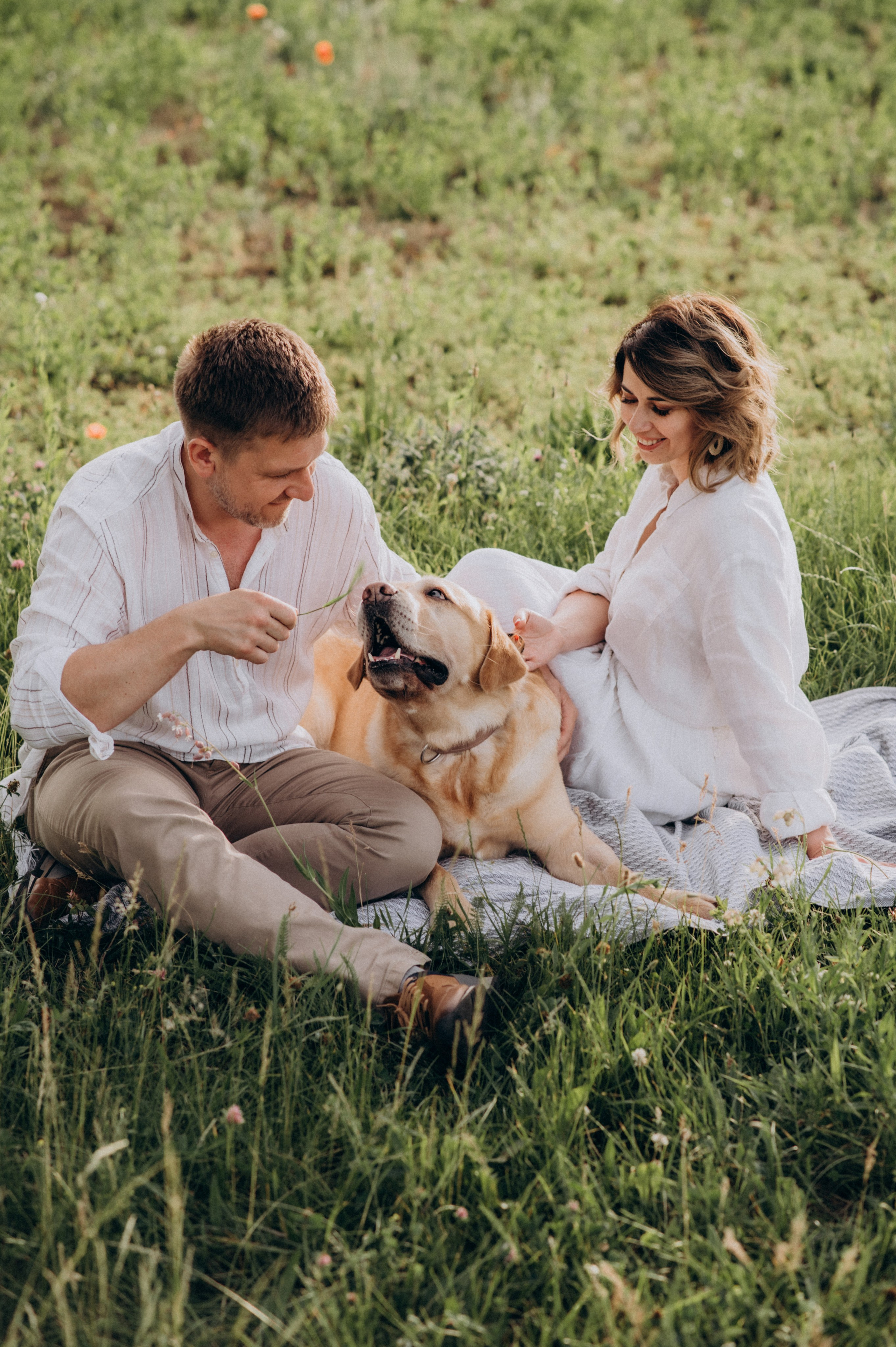 Сімейна фотосесія на природі, зйомка з собакою, фотосесія лавсторі Тернопіль. Сімейний, дитячий та індивідуальний фотограф в м. Тернопіль, м. Львів