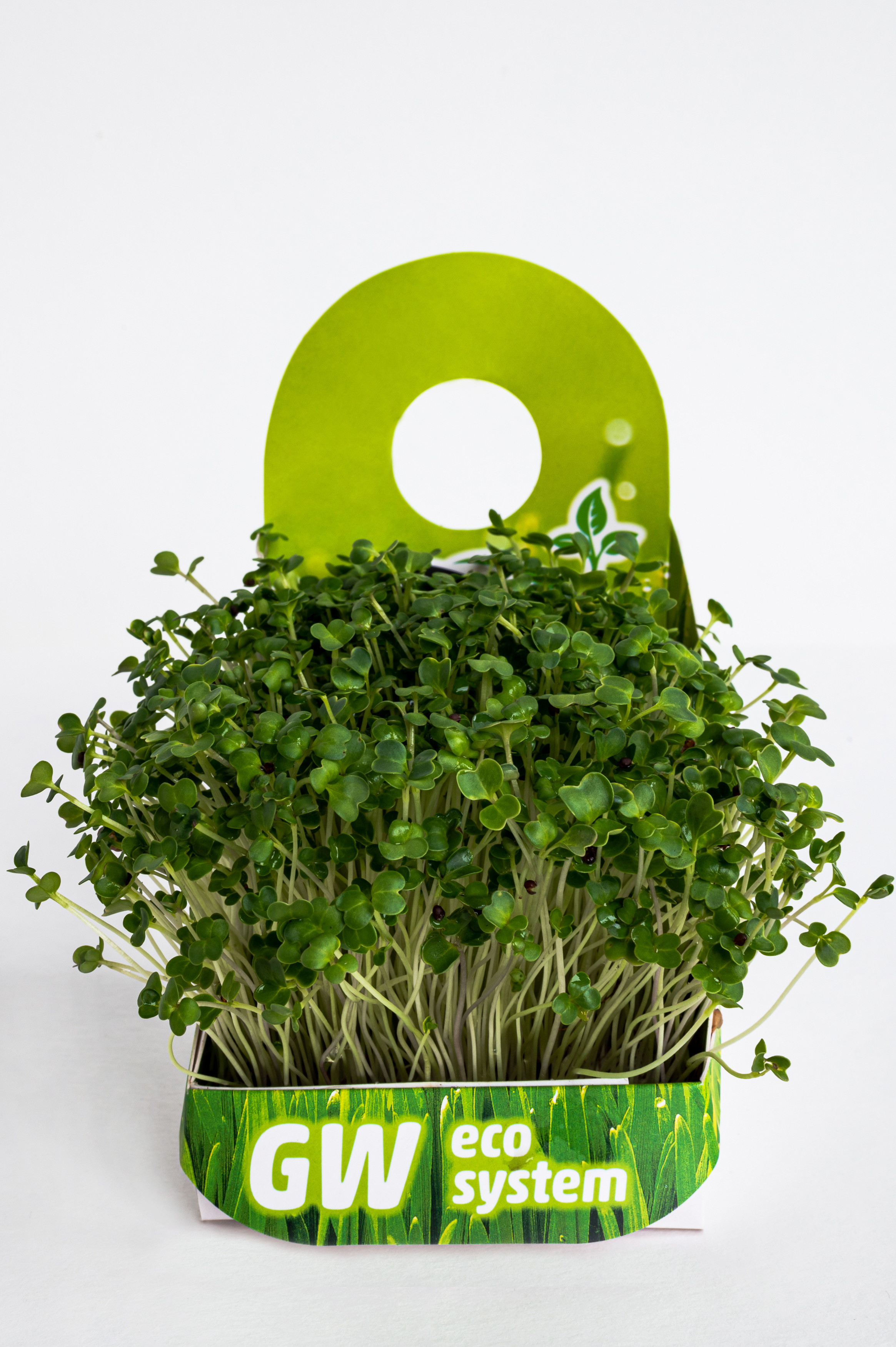 Предметні фото. Сімейний, дитячий та індивідуальний фотограф в м. Тернопіль, м. Львів