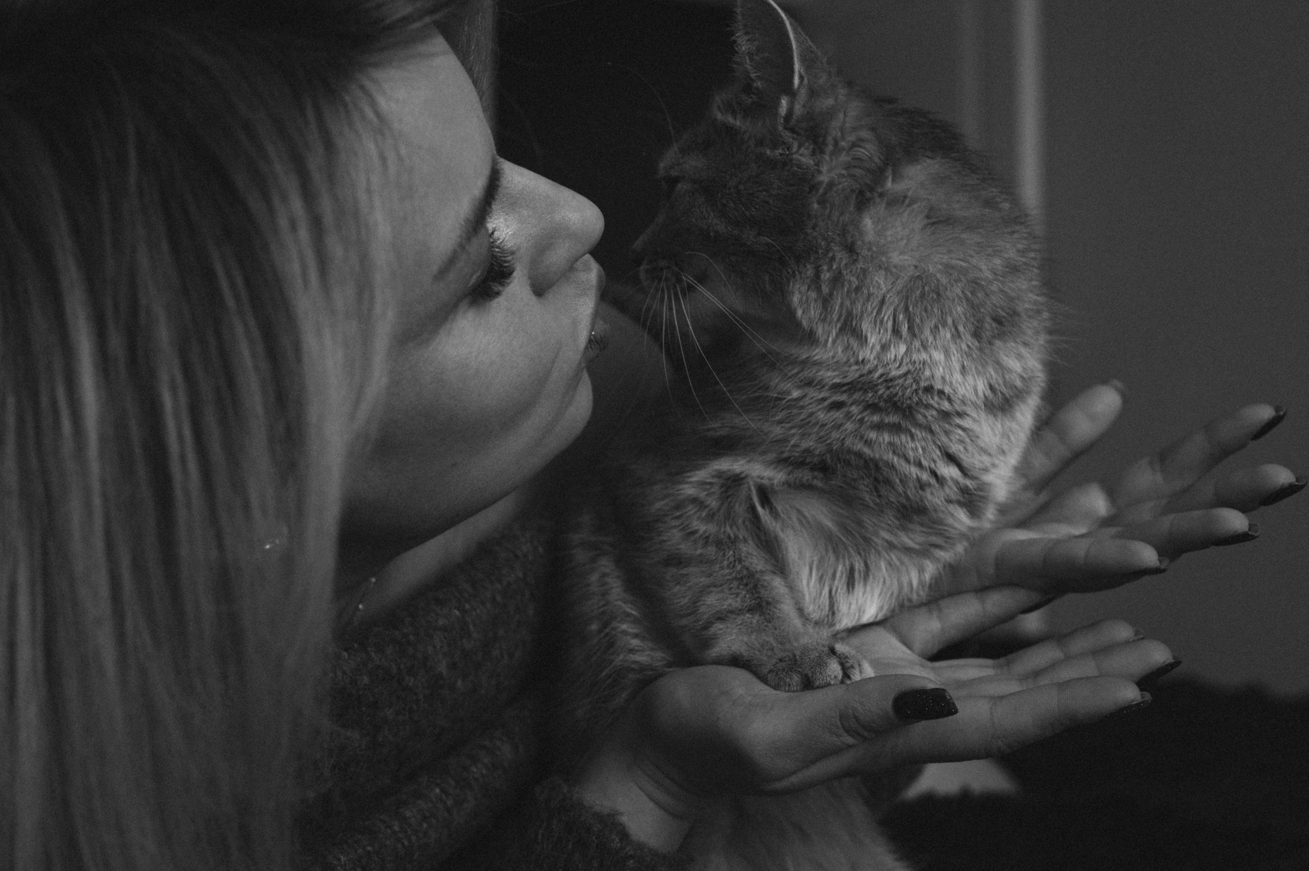 Фотосесія з котиком. Сімейний, дитячий та індивідуальний фотограф в м. Тернопіль, м. Львів