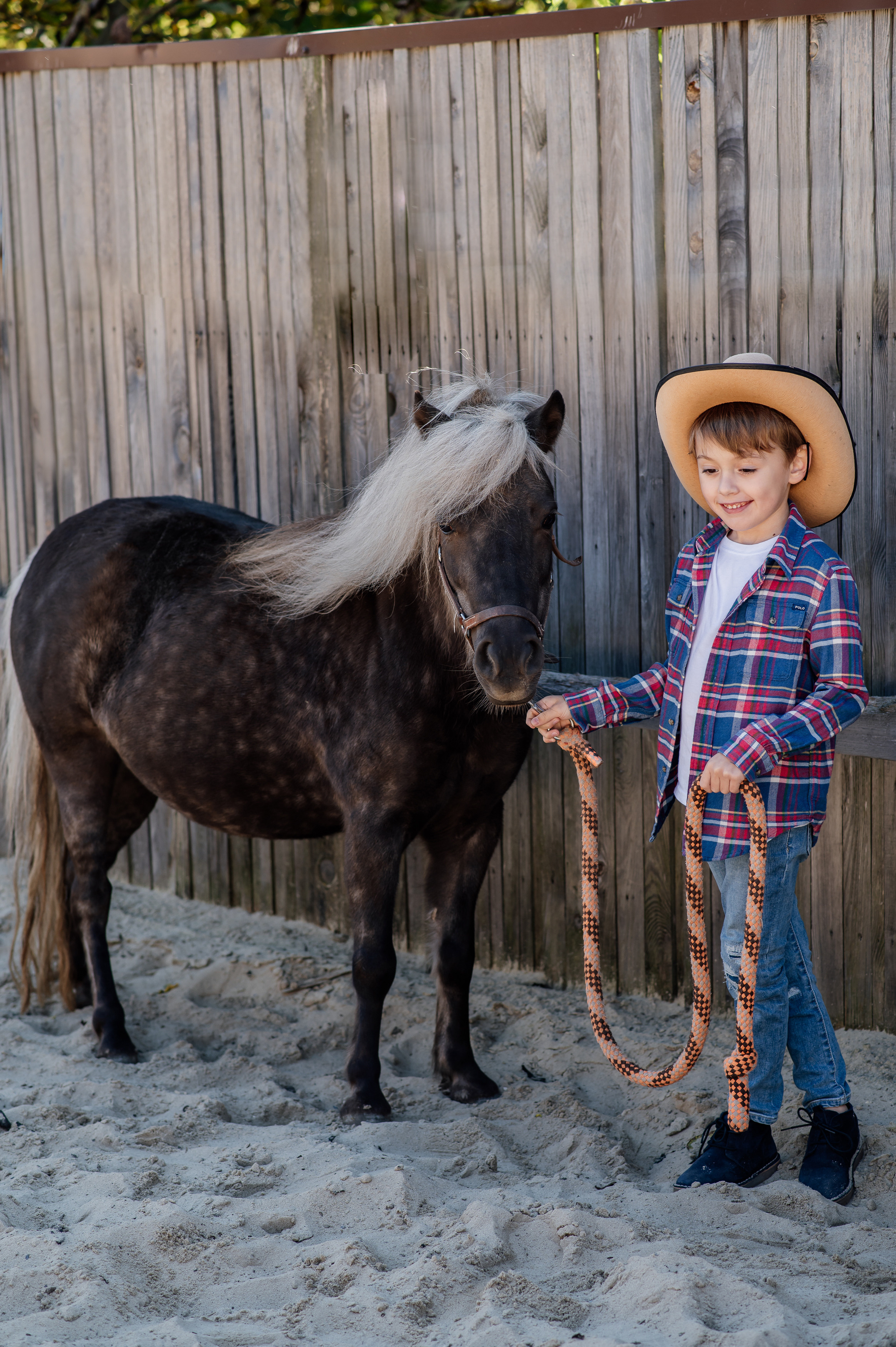 Сімейна фотосесія з кониками. Тернопіль. Сімейний, дитячий та індивідуальний фотограф в м. Тернопіль, м. Львів