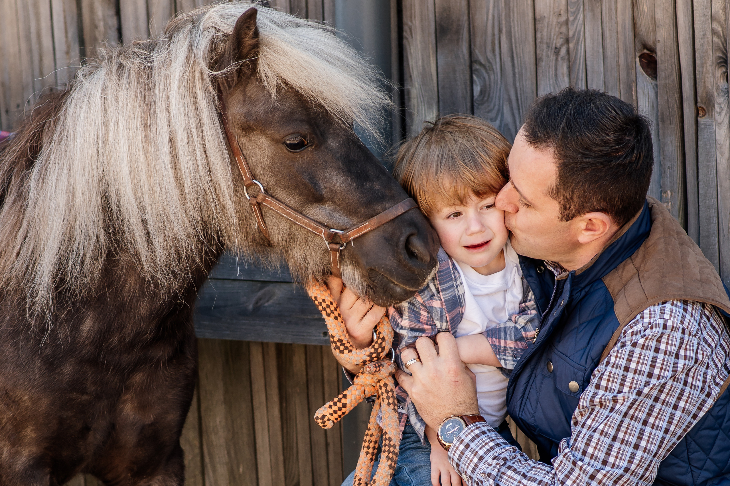 Сімейна фотосесія з кониками. Тернопіль. Сімейний, дитячий та індивідуальний фотограф в м. Тернопіль, м. Львів