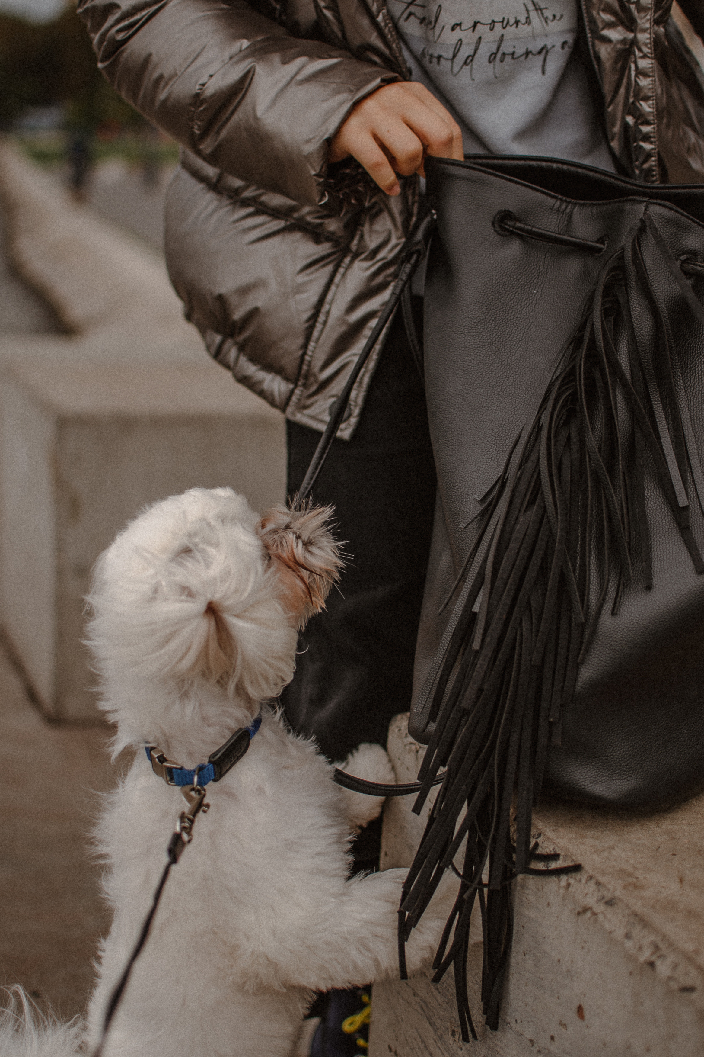 Yana. Сімейний, дитячий та індивідуальний фотограф в м. Тернопіль, м. Львів
