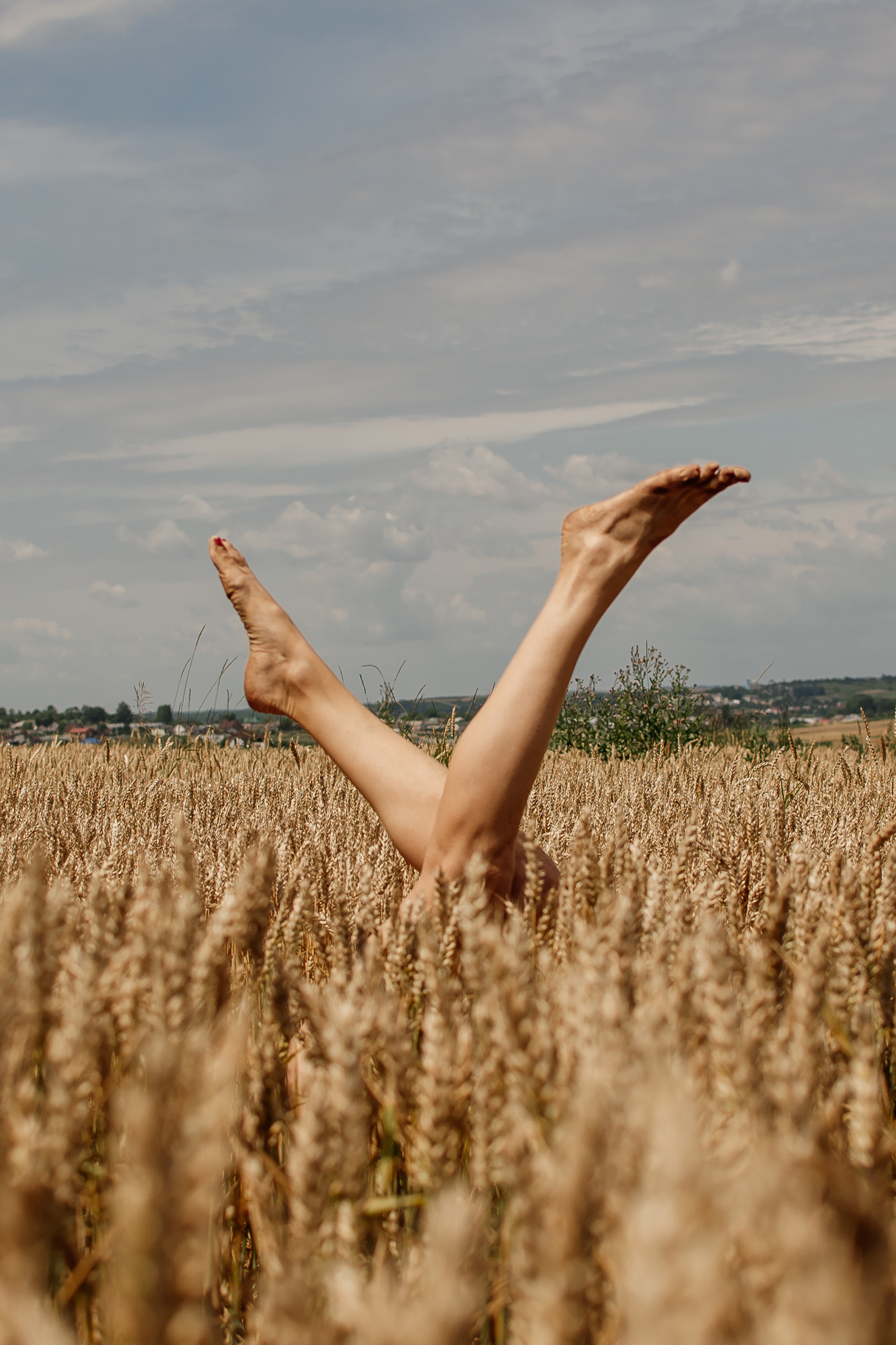 Фотосесія в пшениці. Тернопільська обл. Сімейний, дитячий та індивідуальний фотограф в м. Тернопіль, м. Львів