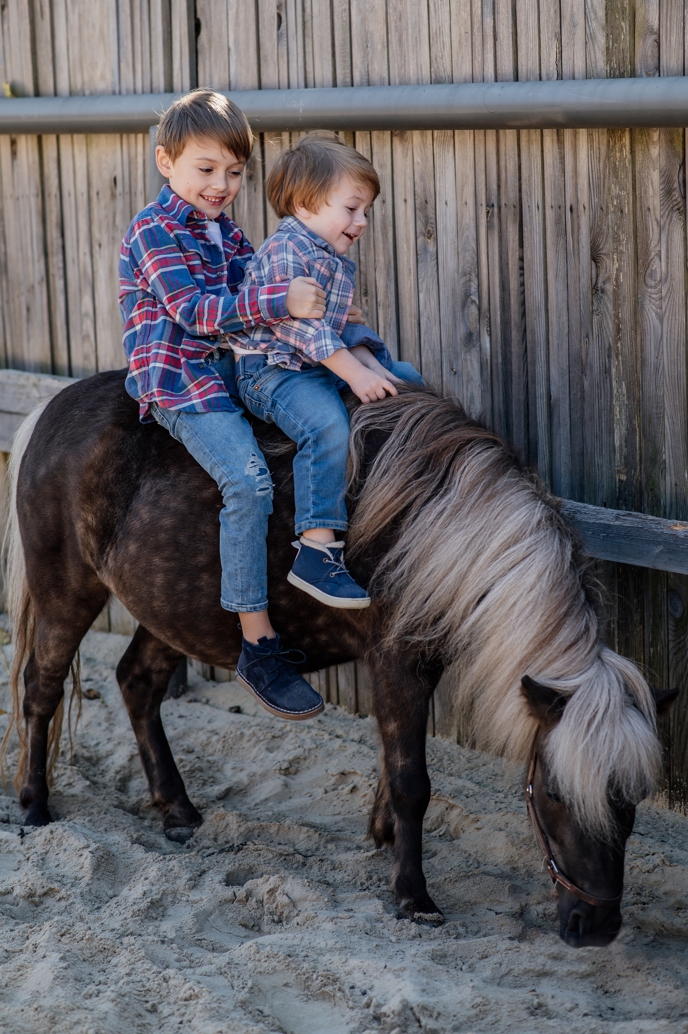 Сімейна фотосесія з кониками. Тернопіль. Сімейний, дитячий та індивідуальний фотограф в м. Тернопіль, м. Львів