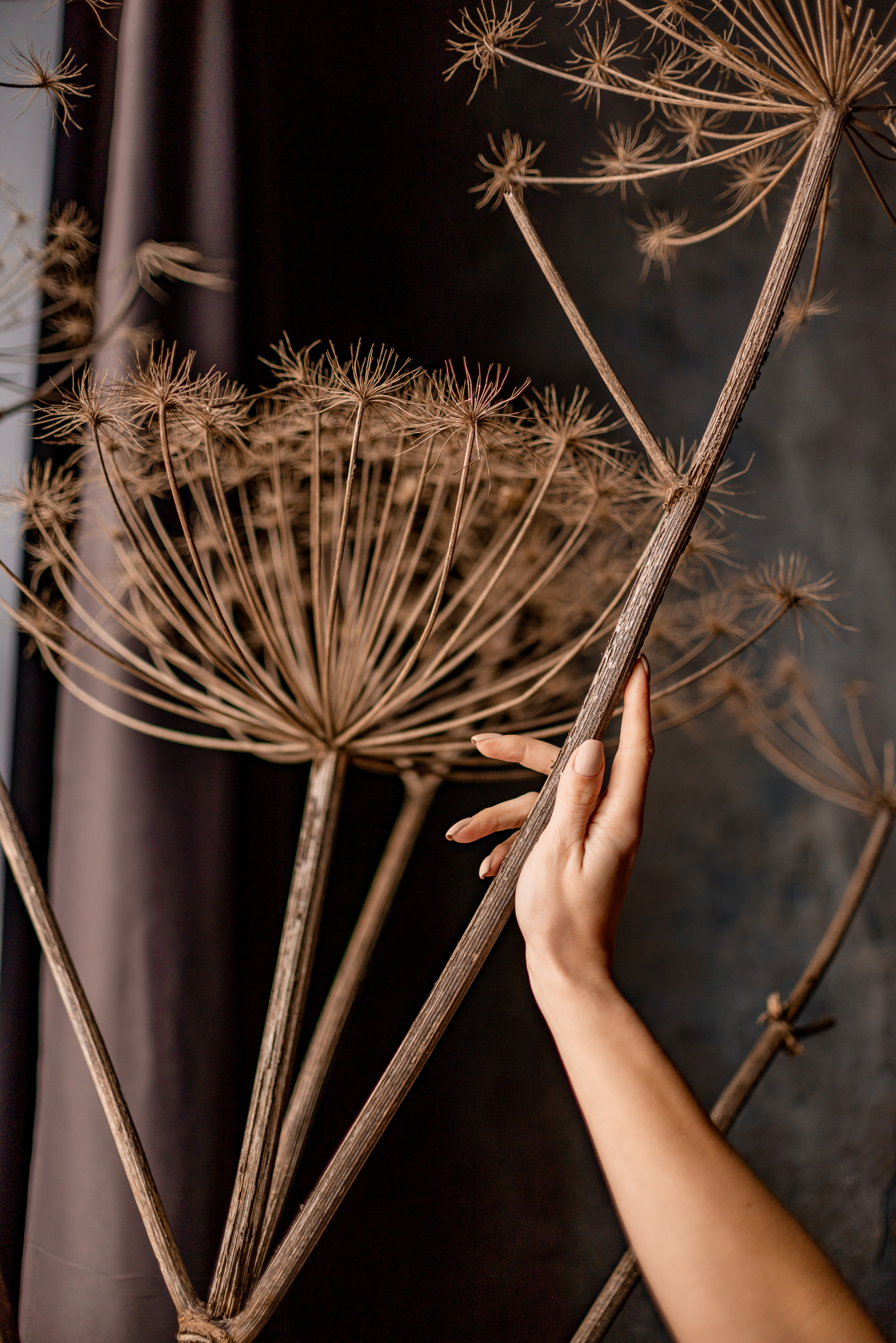 Індивідуальна фотосесія. Львів. Сімейний, дитячий та індивідуальний фотограф в м. Тернопіль, м. Львів