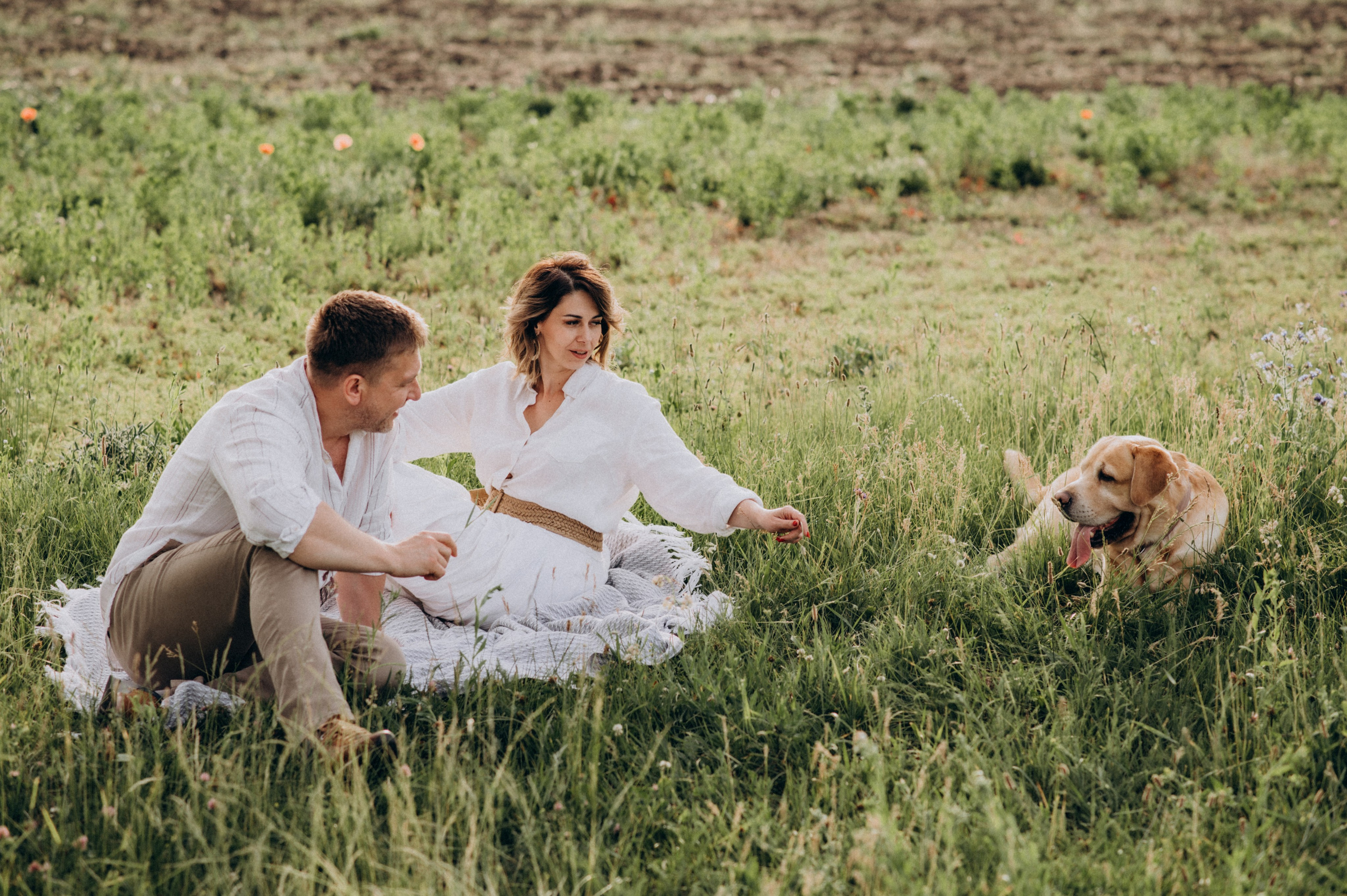 Сімейна фотосесія на природі, зйомка з собакою, фотосесія лавсторі Тернопіль. Сімейний, дитячий та індивідуальний фотограф в м. Тернопіль, м. Львів