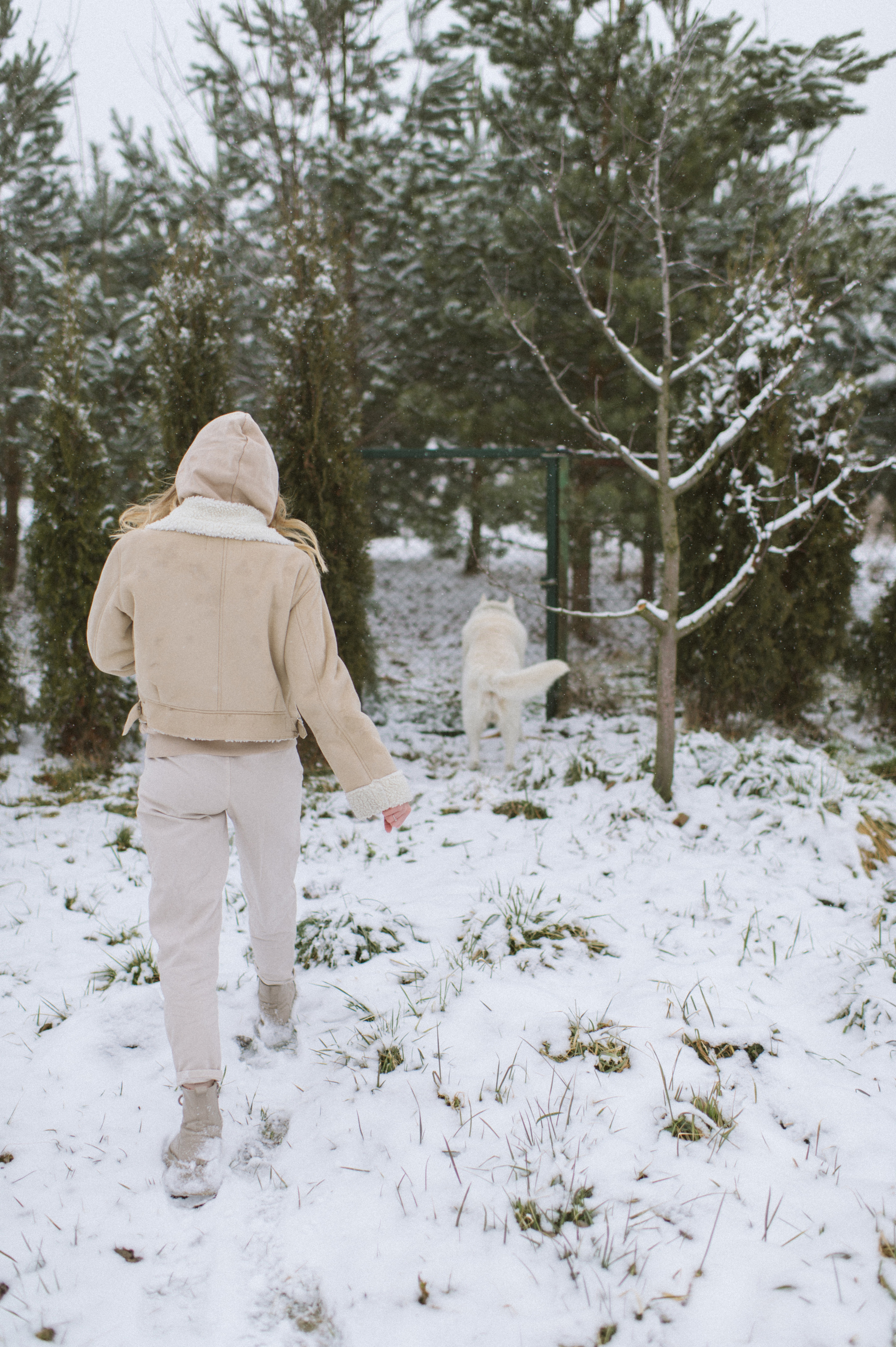 Зйомка з собакою Oleksandra & Volt. Сімейний, дитячий та індивідуальний фотограф в м. Тернопіль, м. Львів