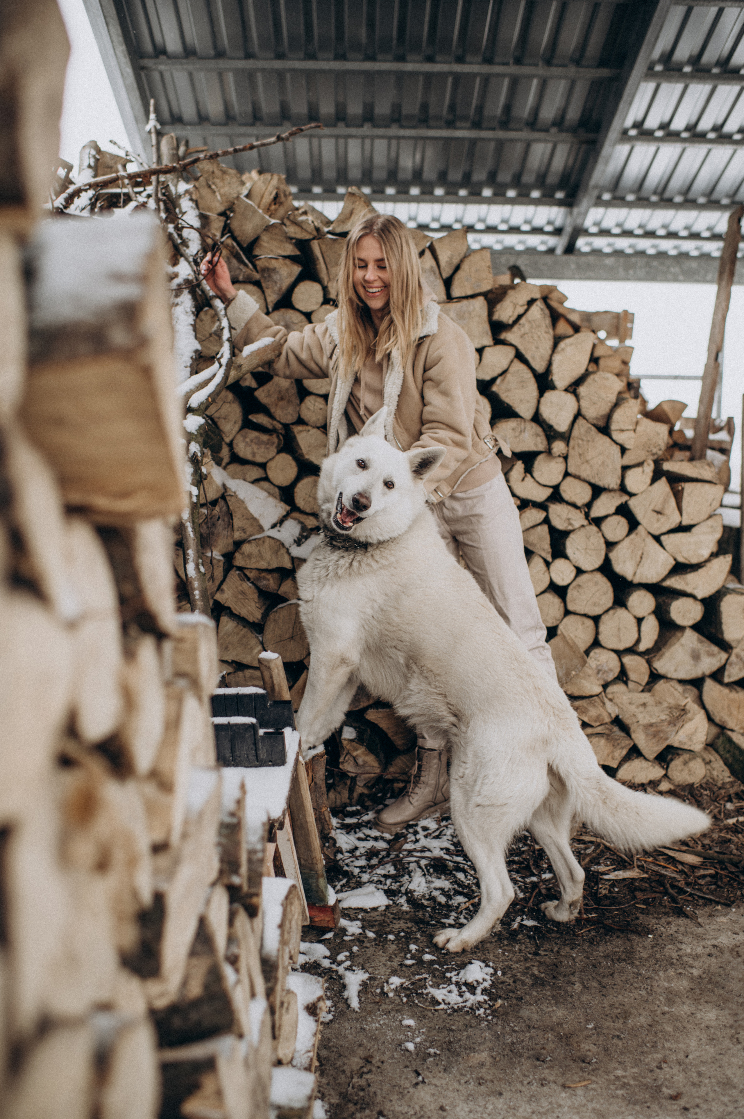 Зйомка з собакою Oleksandra & Volt. Сімейний, дитячий та індивідуальний фотограф в м. Тернопіль, м. Львів