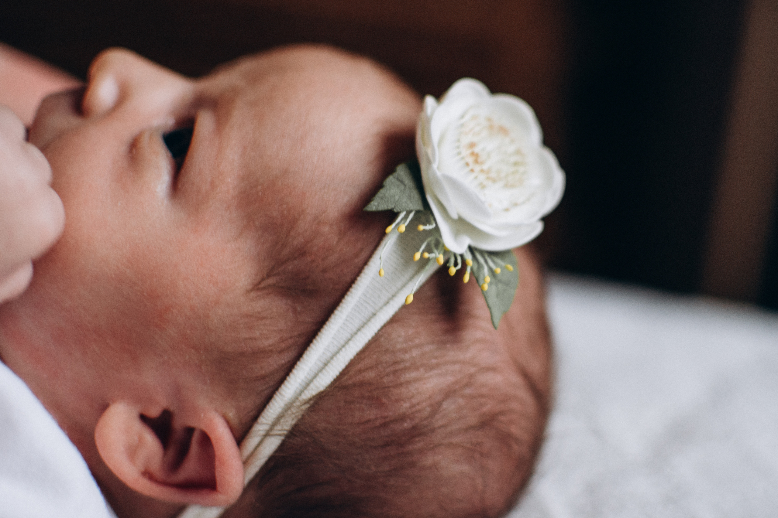 Фотосесія новонароджених Тернопіль, фотосесія newborn, фотосесія ньюборн Тернопіль, фотосесія немовлят, сімейний фотограф Тернопіль. Сімейний, дитячий та індивідуальний фотограф в м. Тернопіль, м. Львів