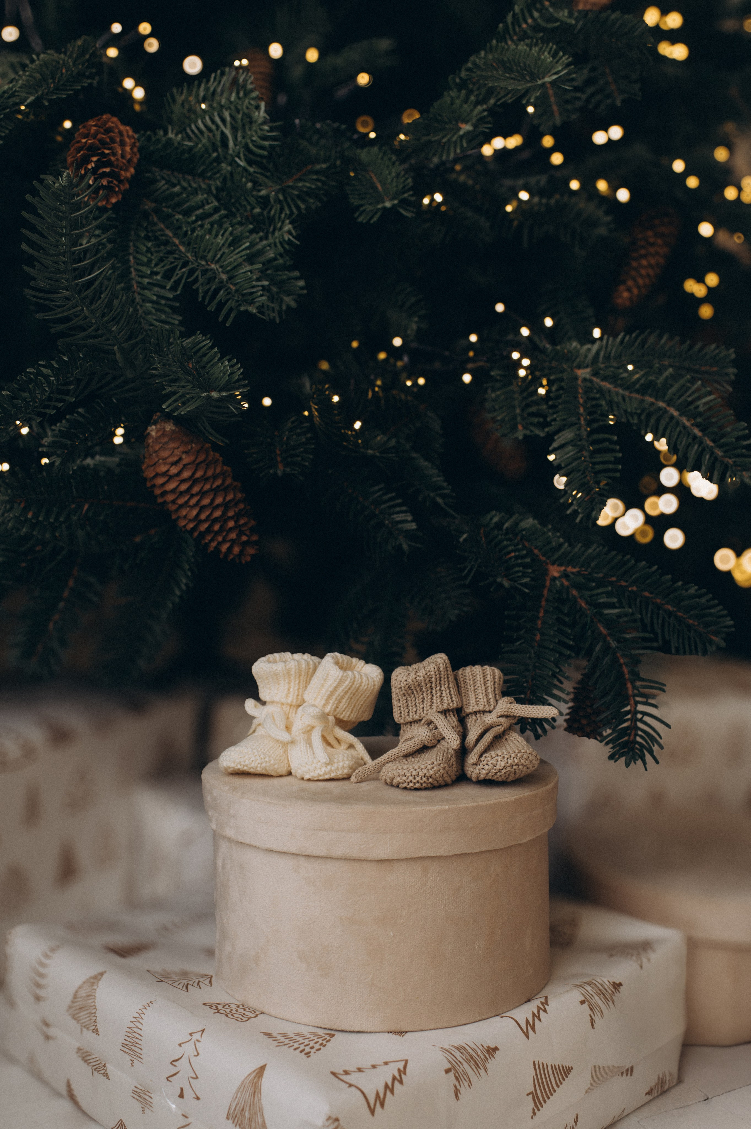 Фотосесія вагітності Тернопіль, зйомка вагітних, фотограф вагітності Тернопіль, сімейний фотограф Тернопіль. Сімейний, дитячий та індивідуальний фотограф в м. Тернопіль, м. Львів