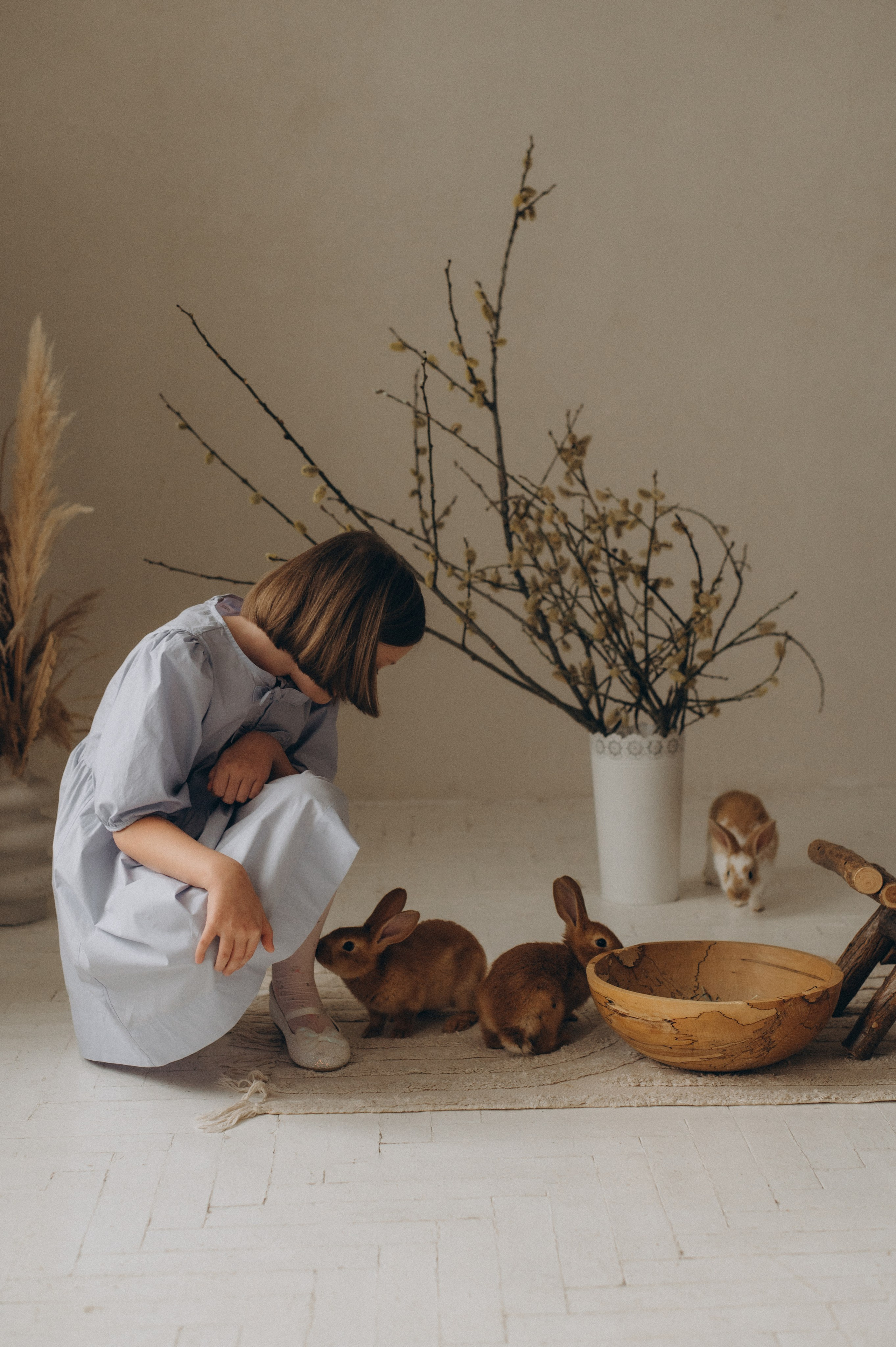 Фотосесія з кроликами, сімейний фотограф Тернопіль, дитячий фотограф Тернопіль, зйомка з кроликами Тернопіль. Сімейний, дитячий та індивідуальний фотограф в м. Тернопіль, м. Львів