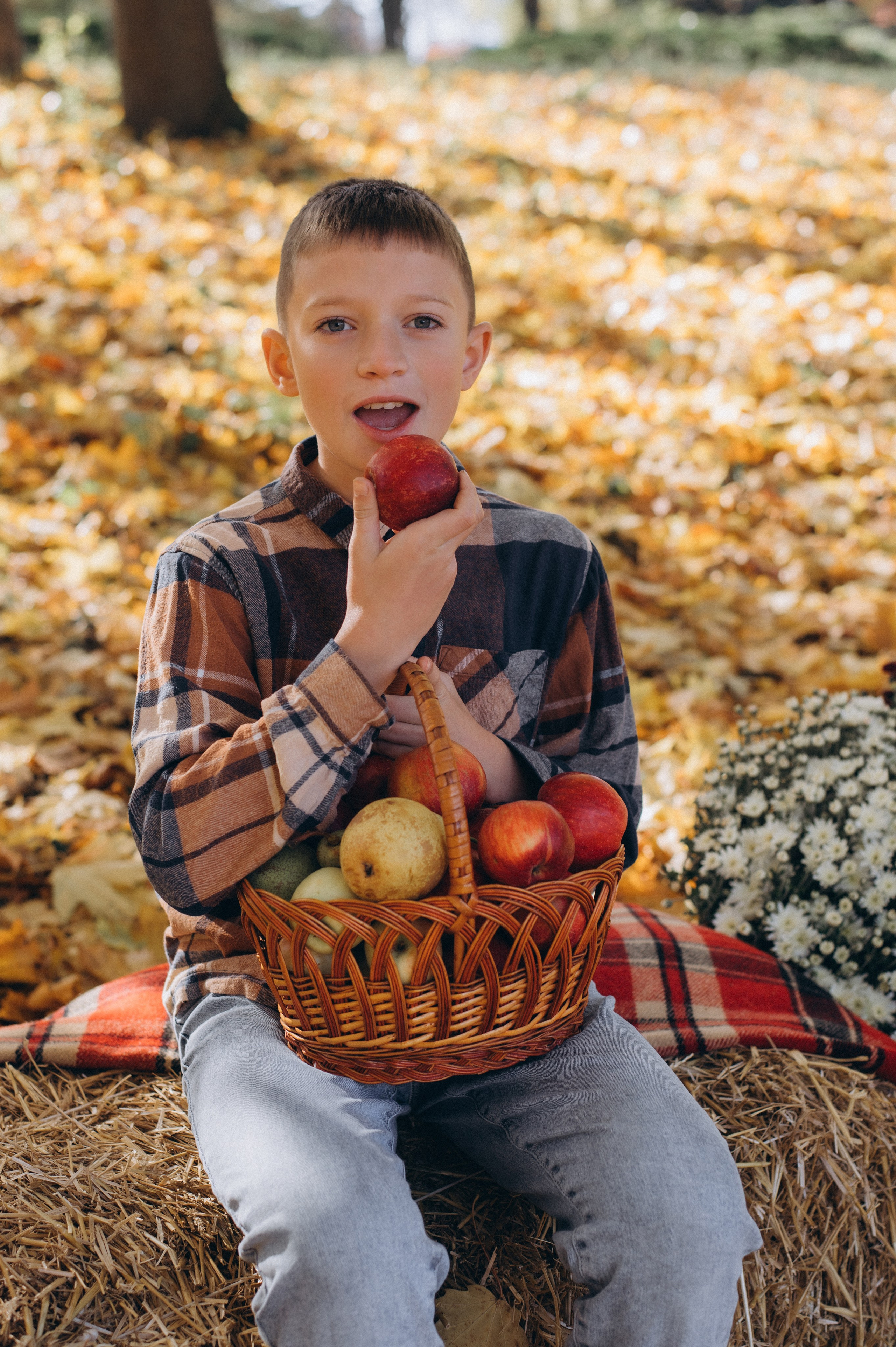 Осіння фотосесія 4 класу на віньєтки, випускні фотоальбоми Тернопіль, фотосесія випускників Тернопіль, шкільний випускний альбом Тернопіль. Сімейний, дитячий та індивідуальний фотограф в м. Тернопіль, м. Львів