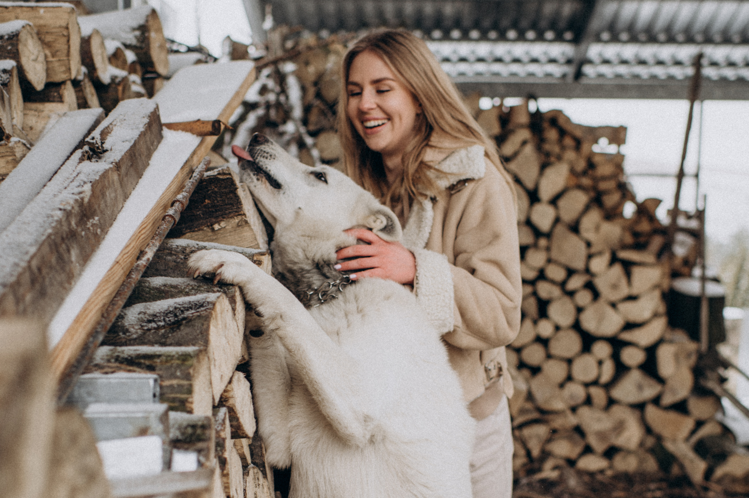Зйомка з собакою Oleksandra & Volt. Сімейний, дитячий та індивідуальний фотограф в м. Тернопіль, м. Львів