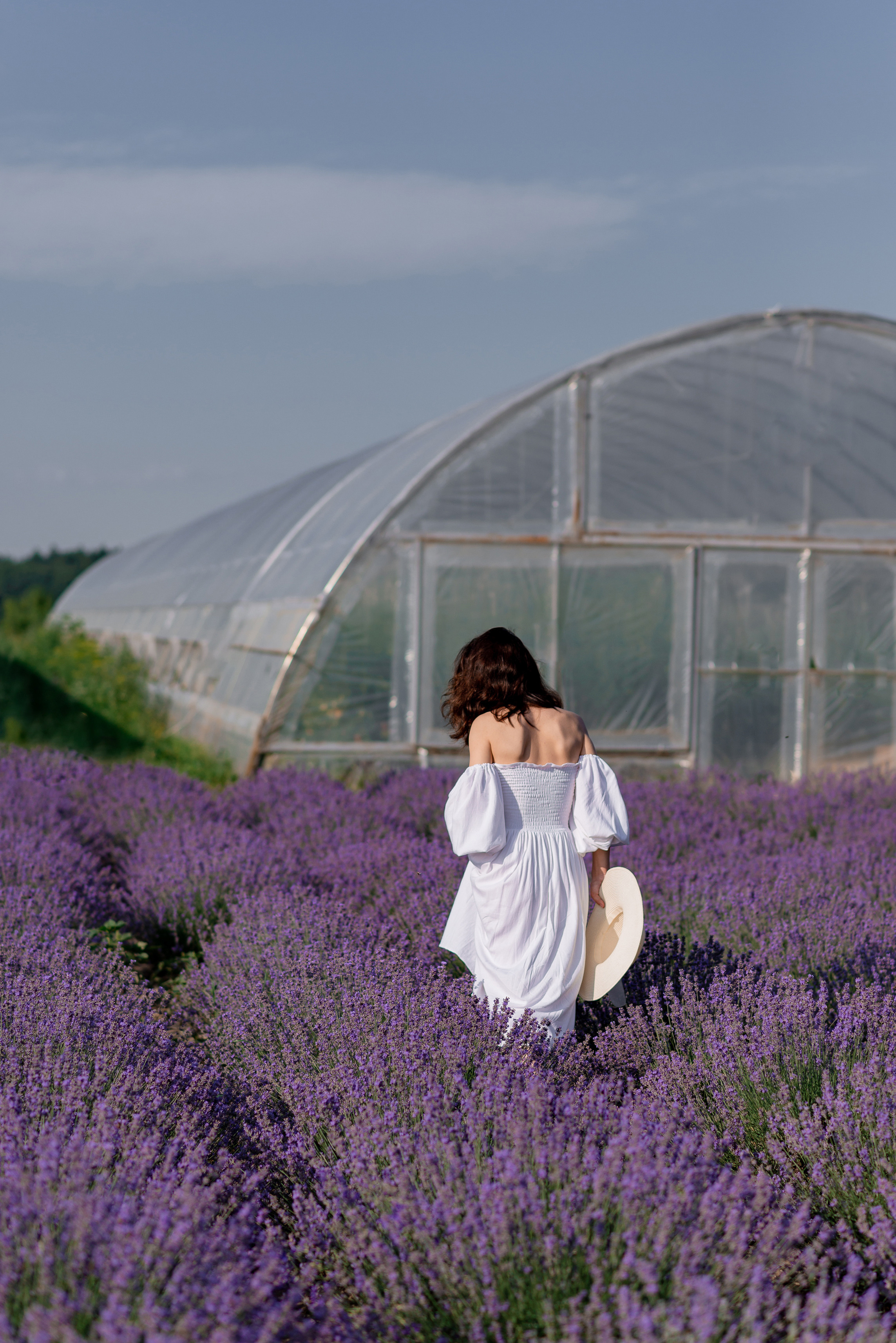 Сімейна фотосесія в лаванді. Андрій та Анастасія. Сімейний, дитячий та індивідуальний фотограф в м. Тернопіль, м. Львів