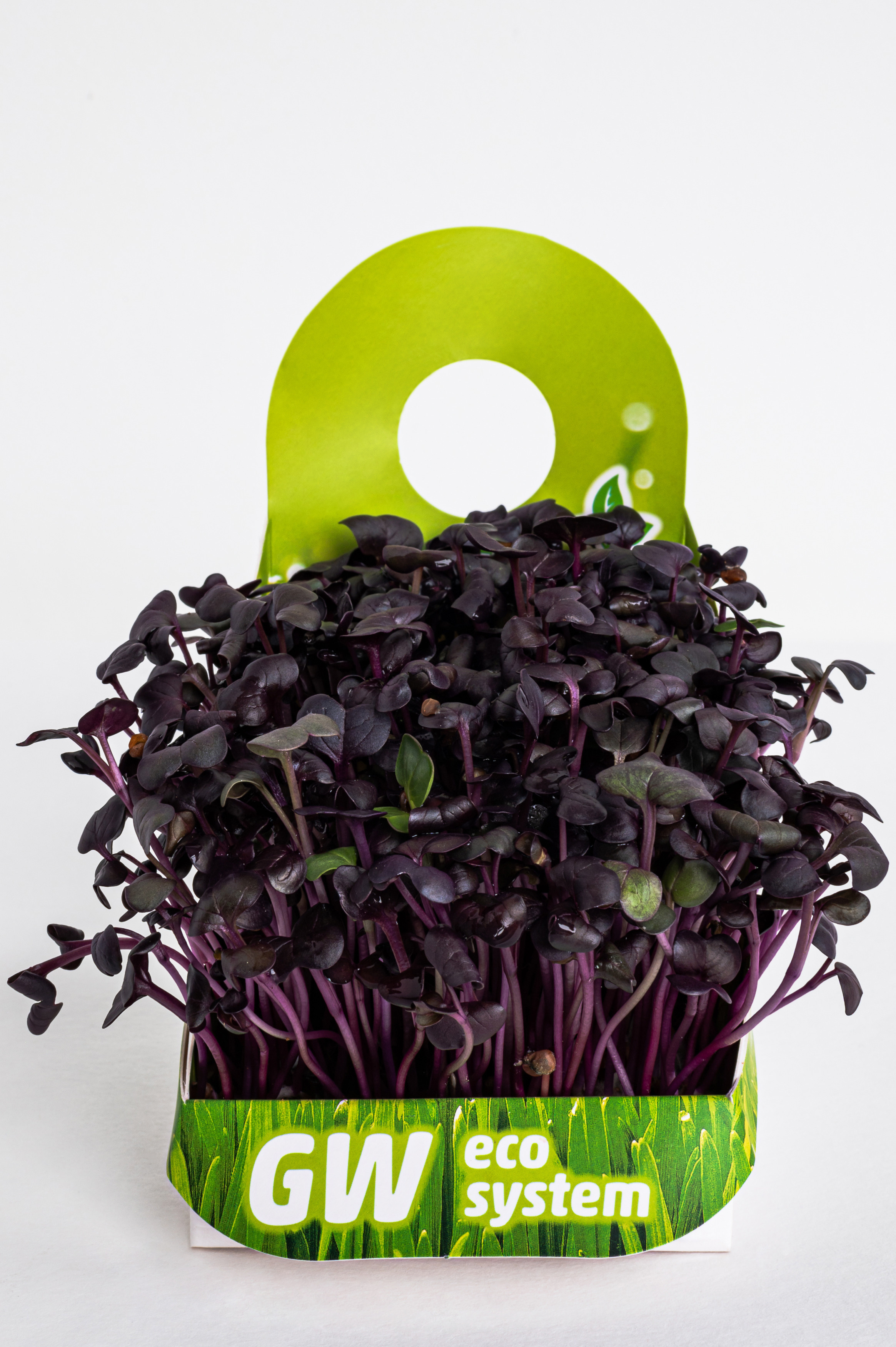 Предметні фото. Сімейний, дитячий та індивідуальний фотограф в м. Тернопіль, м. Львів