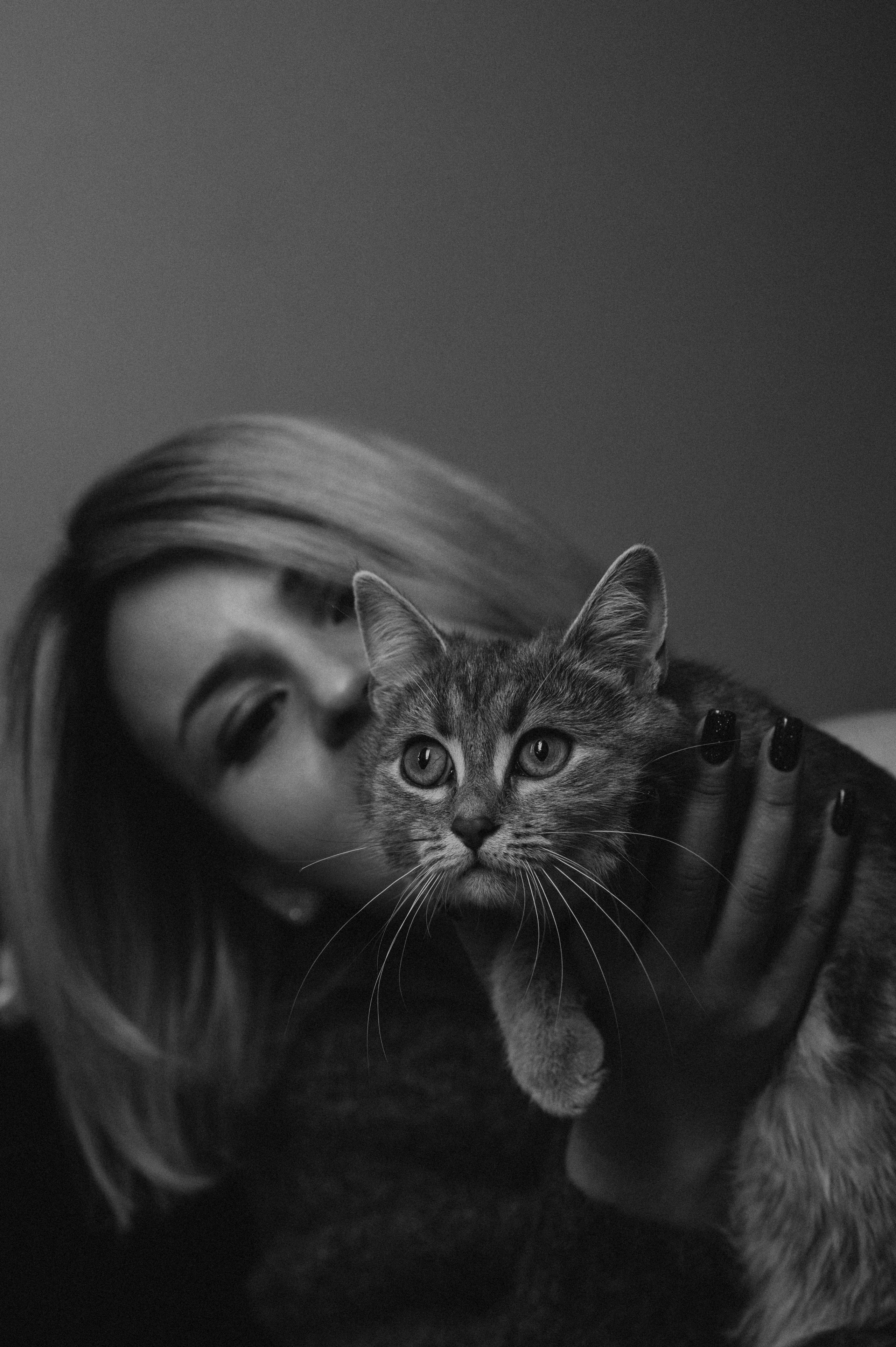 Фотосесія з котиком. Сімейний, дитячий та індивідуальний фотограф в м. Тернопіль, м. Львів