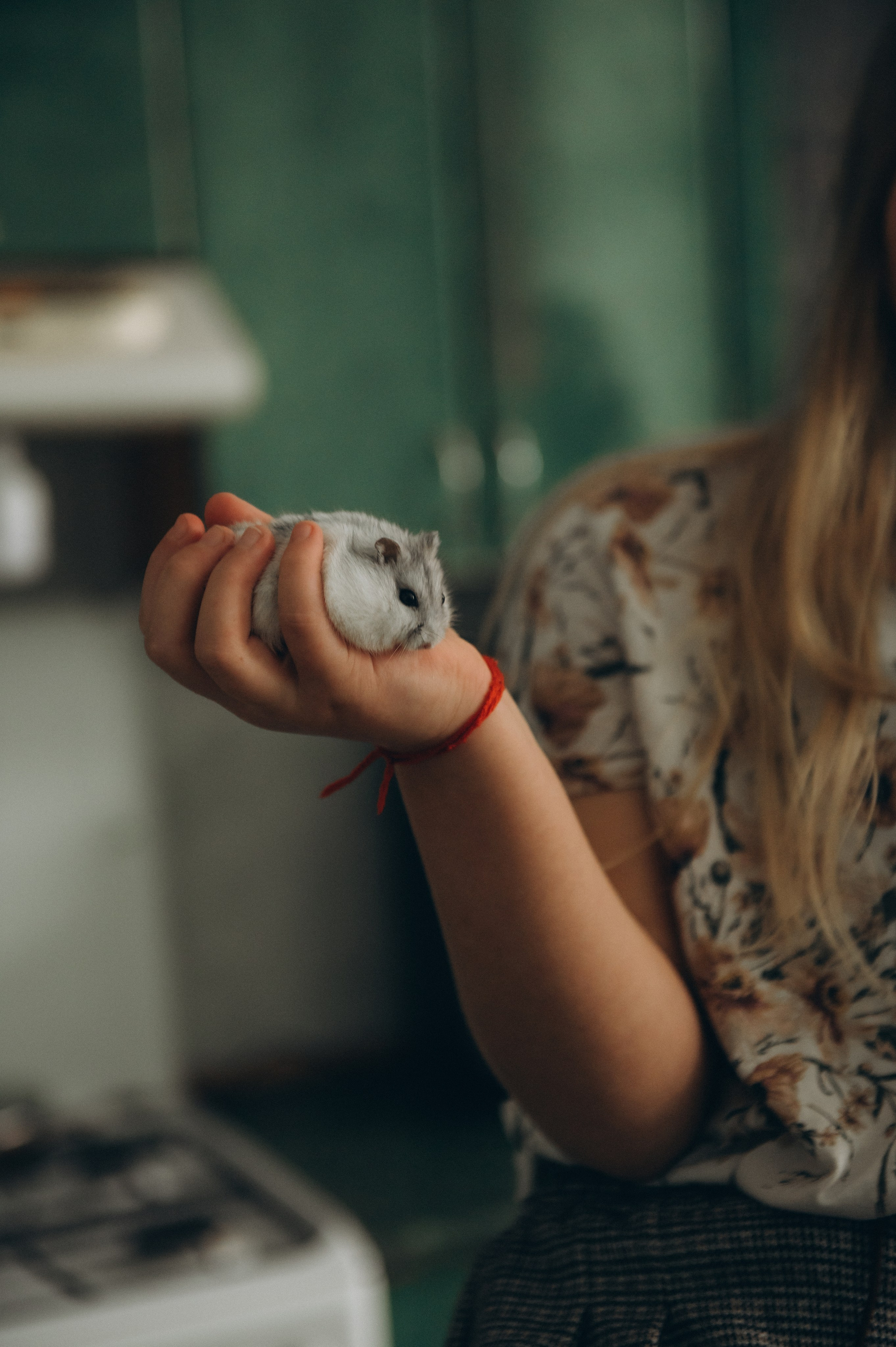 Сімейна фотосесія вдома Тернопіль, сімейний фотограф Львів Тернопіль, сімейна фотосесія Тернопіль, зйомка вдома. Сімейний, дитячий та індивідуальний фотограф в м. Тернопіль, м. Львів