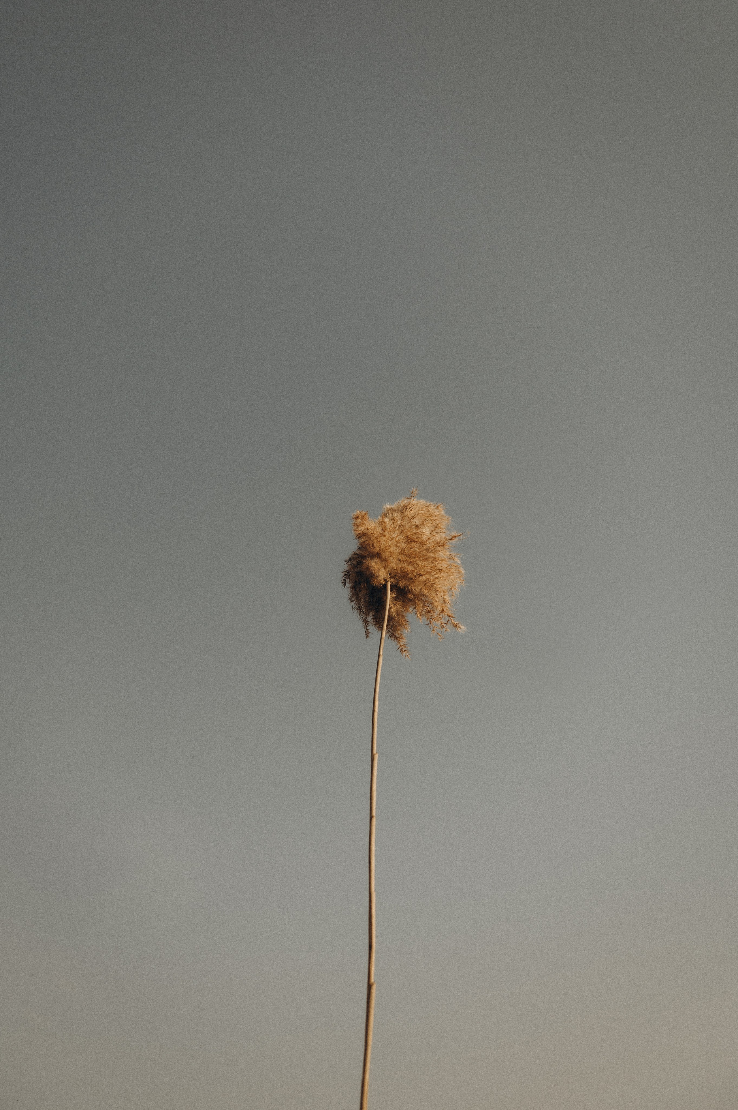 Портретна фотосесія Тернопіль, жіночий портрет, фотосесія на природі, індивідуальна зйомка Тернопіль Львів, фотосесія дівчат Тернопіль. Сімейний, дитячий та індивідуальний фотограф в м. Тернопіль, м. Львів