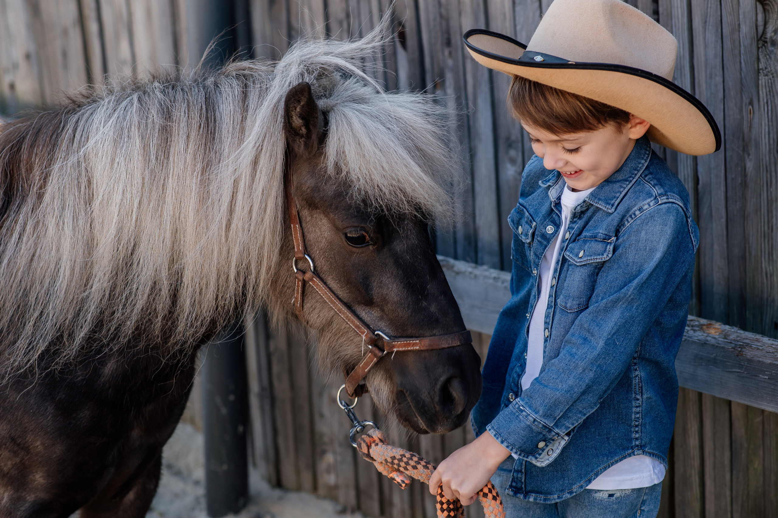 Сімейна фотосесія з кониками. Тернопіль. Сімейний, дитячий та індивідуальний фотограф в м. Тернопіль, м. Львів