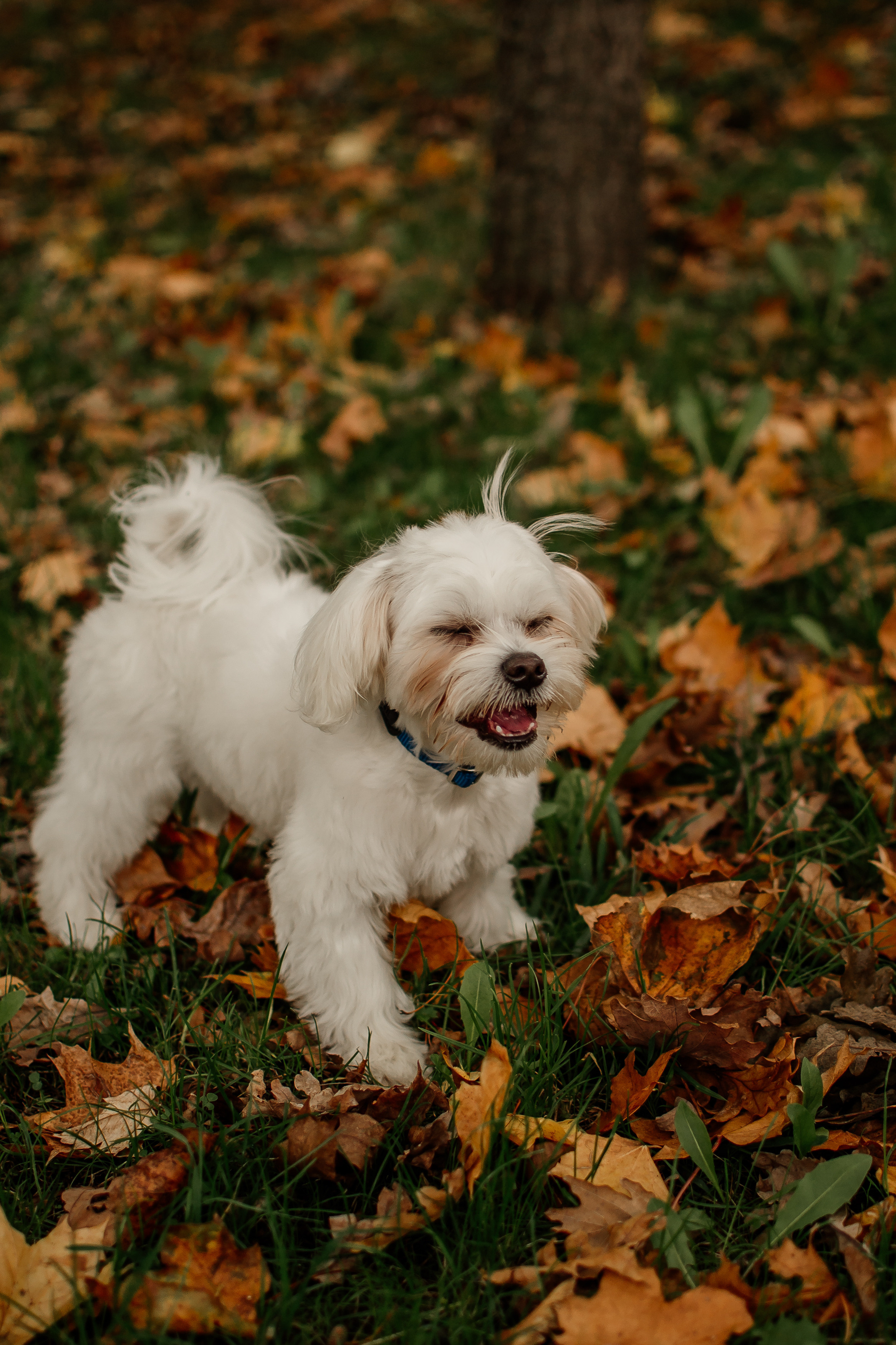 Yana. Сімейний, дитячий та індивідуальний фотограф в м. Тернопіль, м. Львів