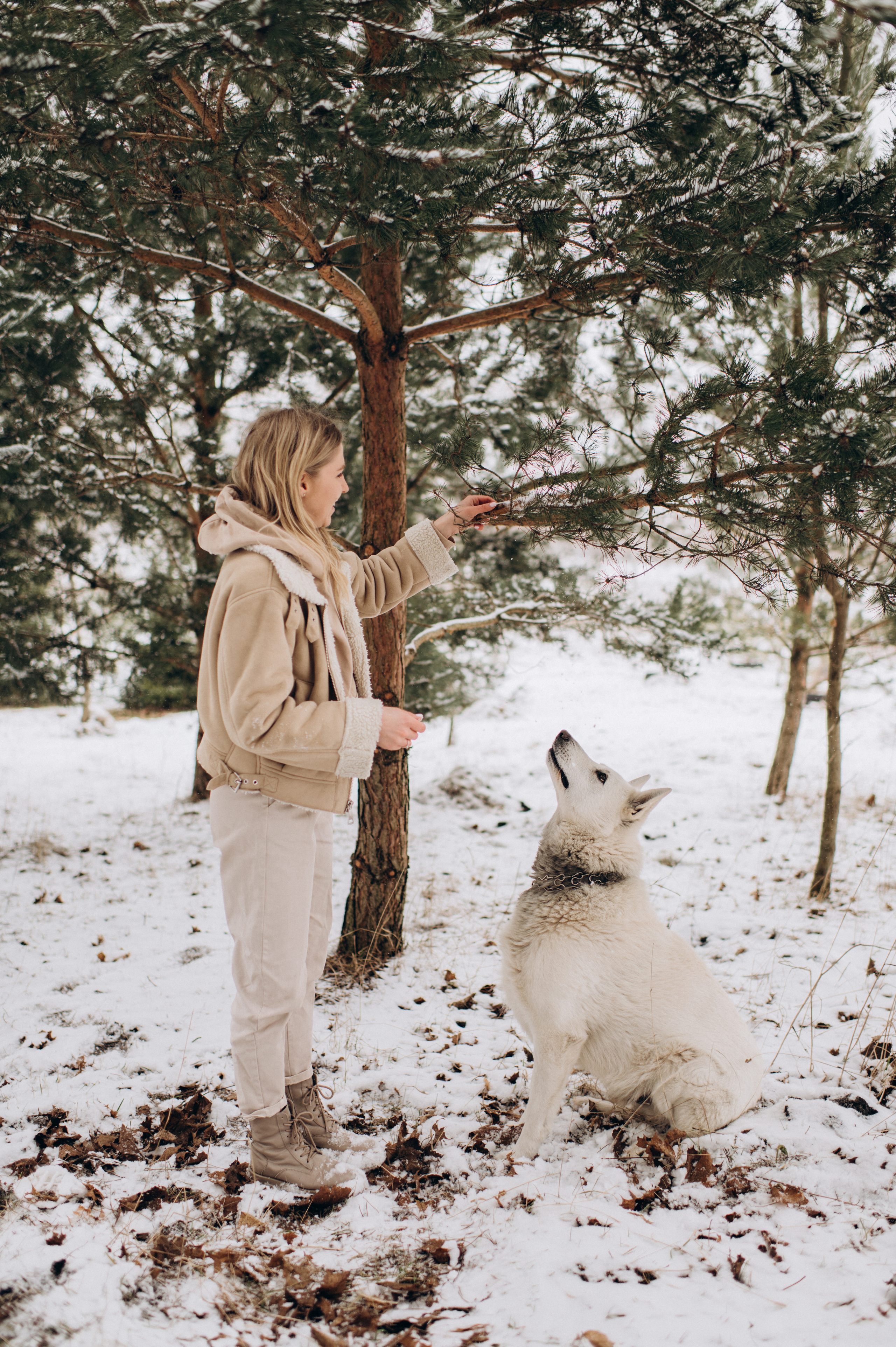 Зйомка з собакою Oleksandra & Volt. Сімейний, дитячий та індивідуальний фотограф в м. Тернопіль, м. Львів