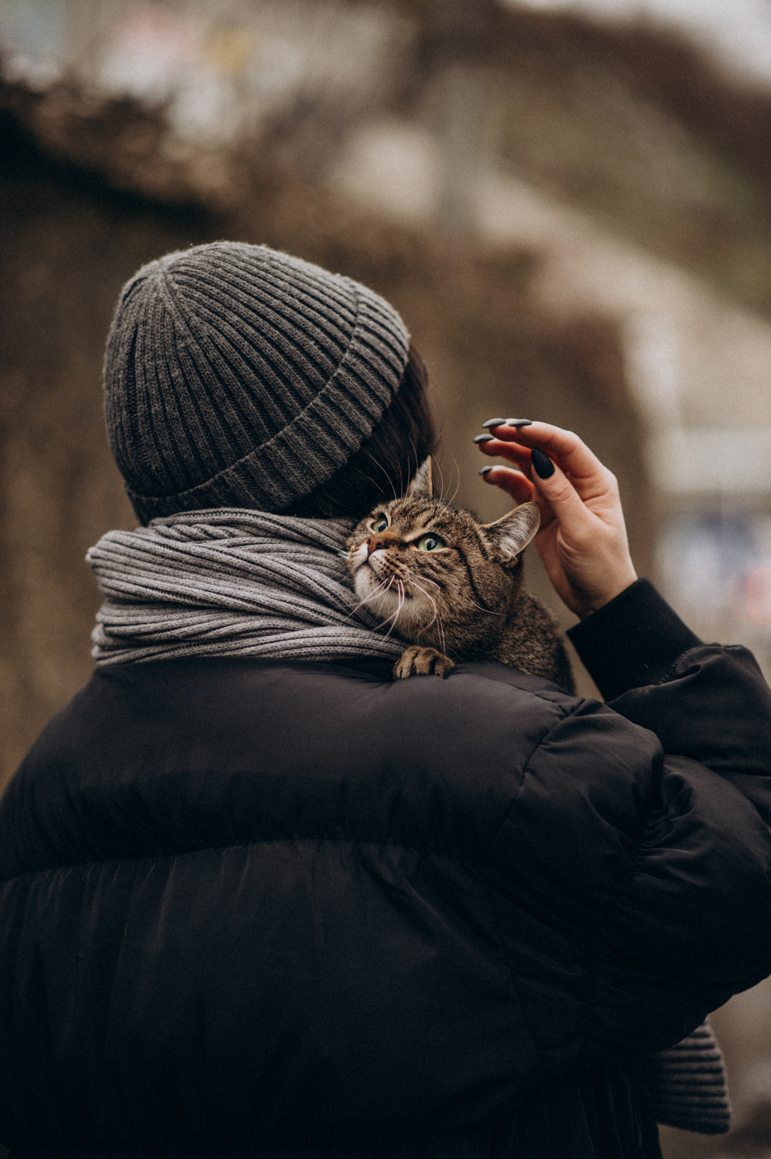 Фотосесія з котиком. Сімейний, дитячий та індивідуальний фотограф в м. Тернопіль, м. Львів