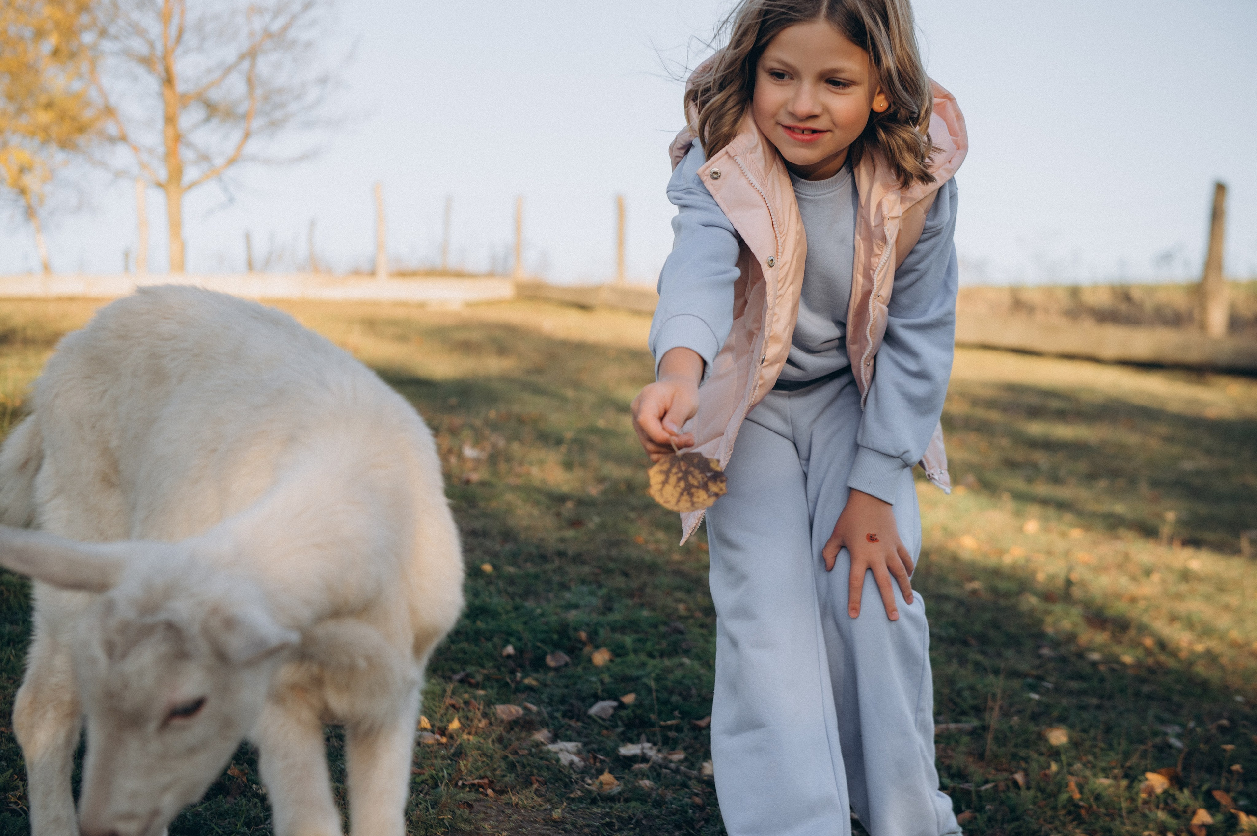 Дитячий фотограф Тернопіль, фотосесія дітей, фотосесія на природі, зйомка у Веселі козенята, фотосесія дня народження Тернопіль. Сімейний, дитячий та індивідуальний фотограф в м. Тернопіль, м. Львів