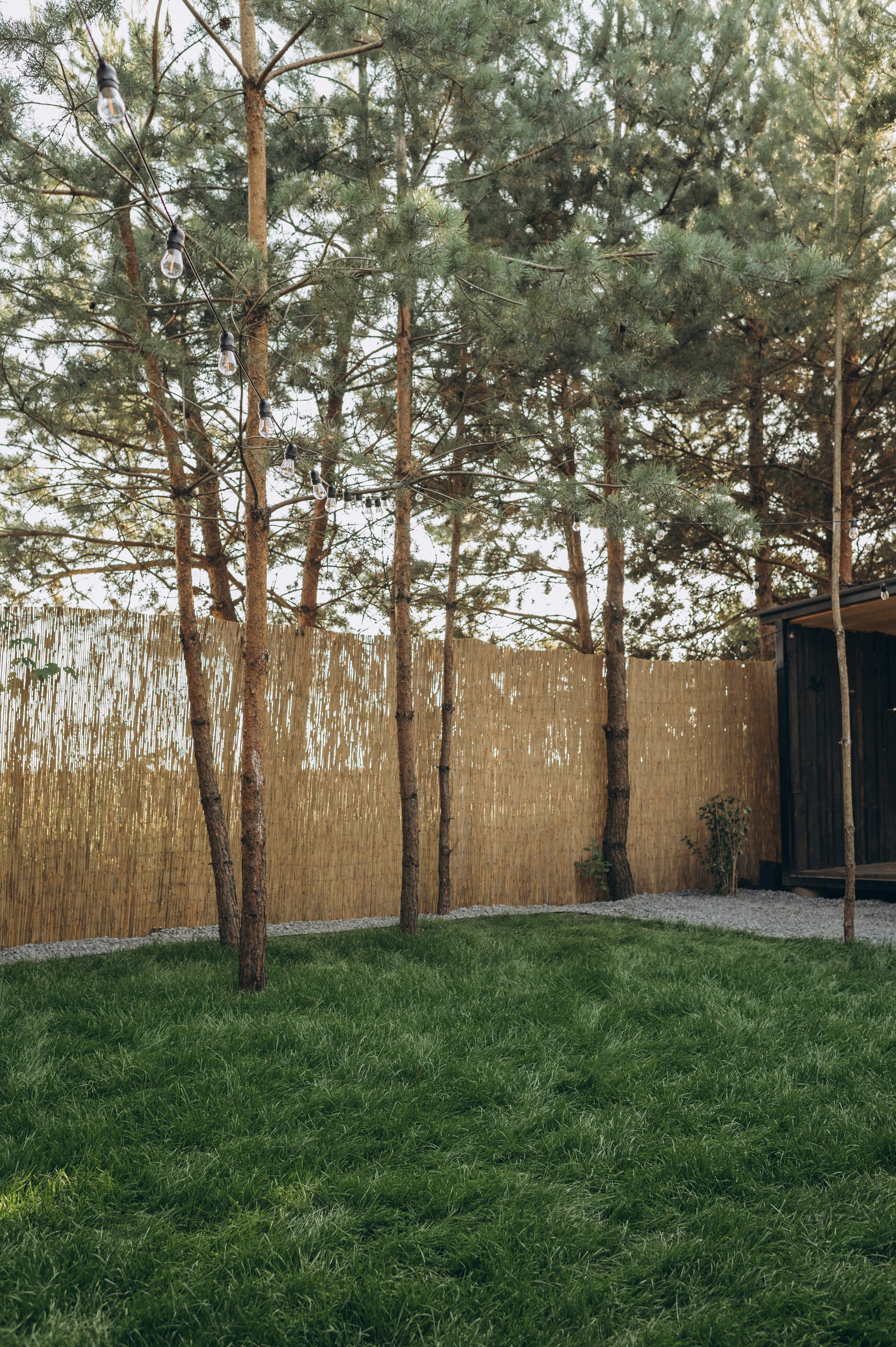 Інтер’єрна фотосесія будиночок в лісі, інтерєрна зйомка Тернопіль, інтерєрна фотосесія Львів. Сімейний, дитячий та індивідуальний фотограф в м. Тернопіль, м. Львів