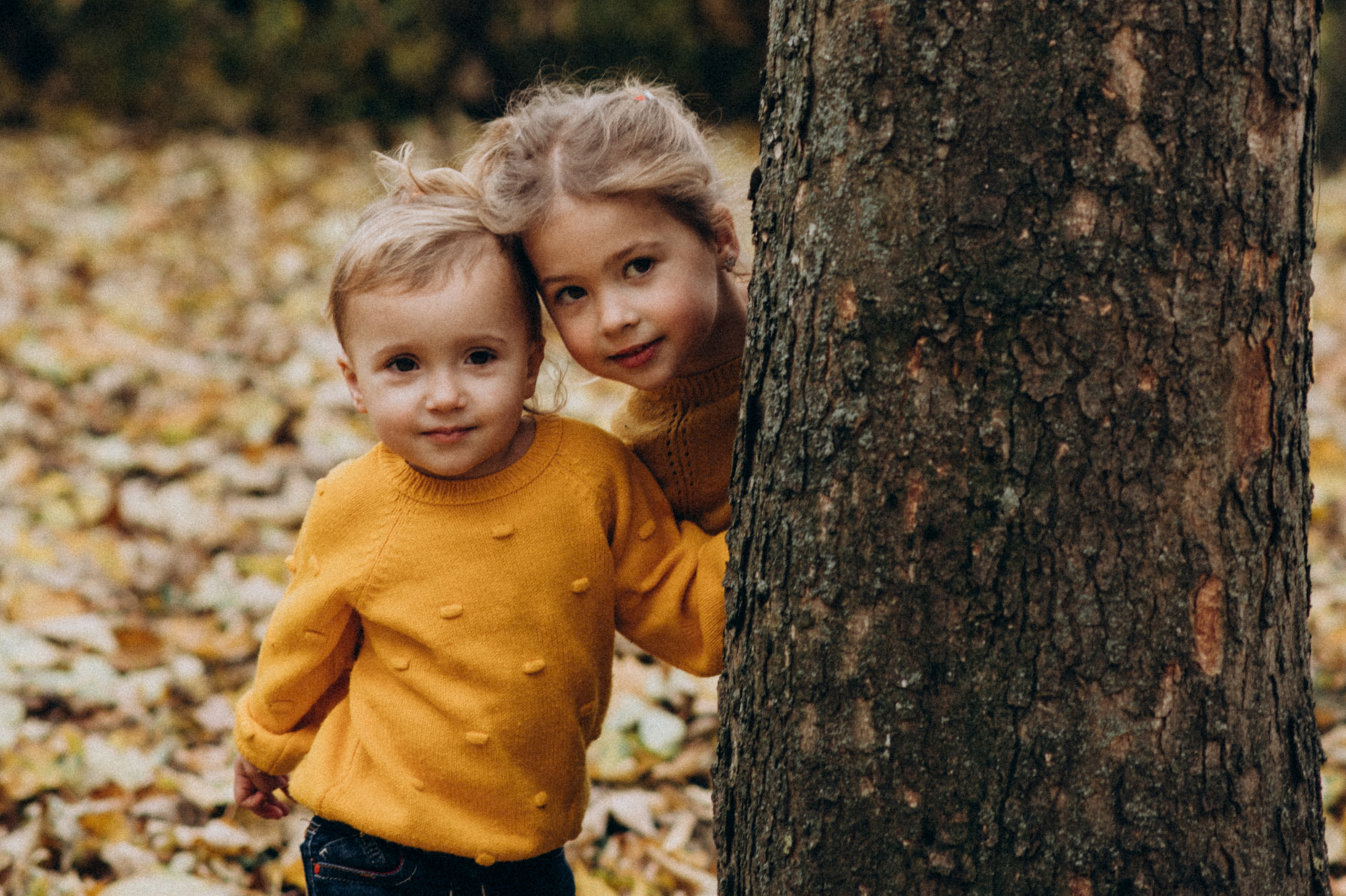 Осіння сімейна фотосесія. Сімейний, дитячий та індивідуальний фотограф в м. Тернопіль, м. Львів