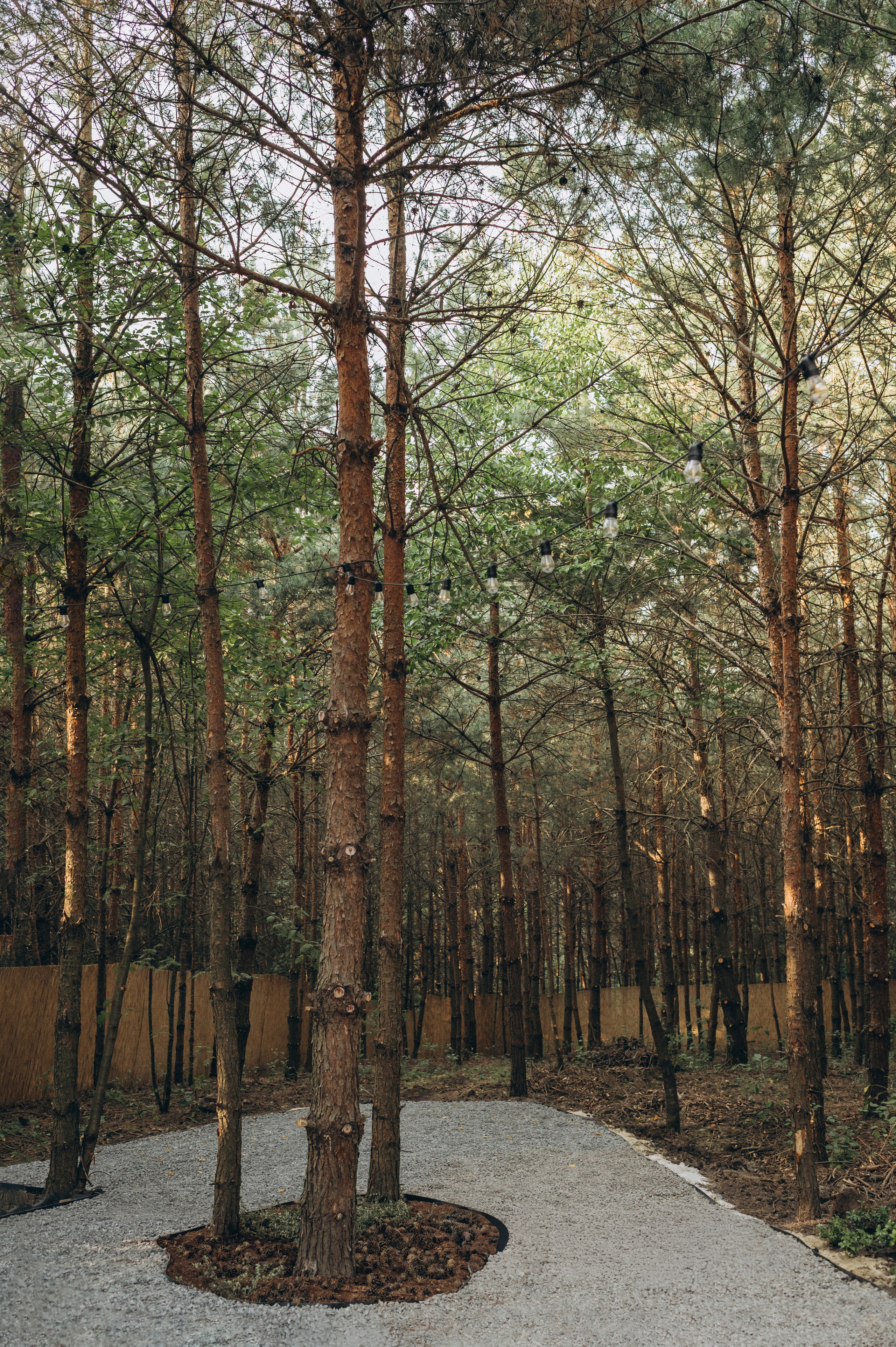 Інтер’єрна фотосесія будиночок в лісі, інтерєрна зйомка Тернопіль, інтерєрна фотосесія Львів. Сімейний, дитячий та індивідуальний фотограф в м. Тернопіль, м. Львів