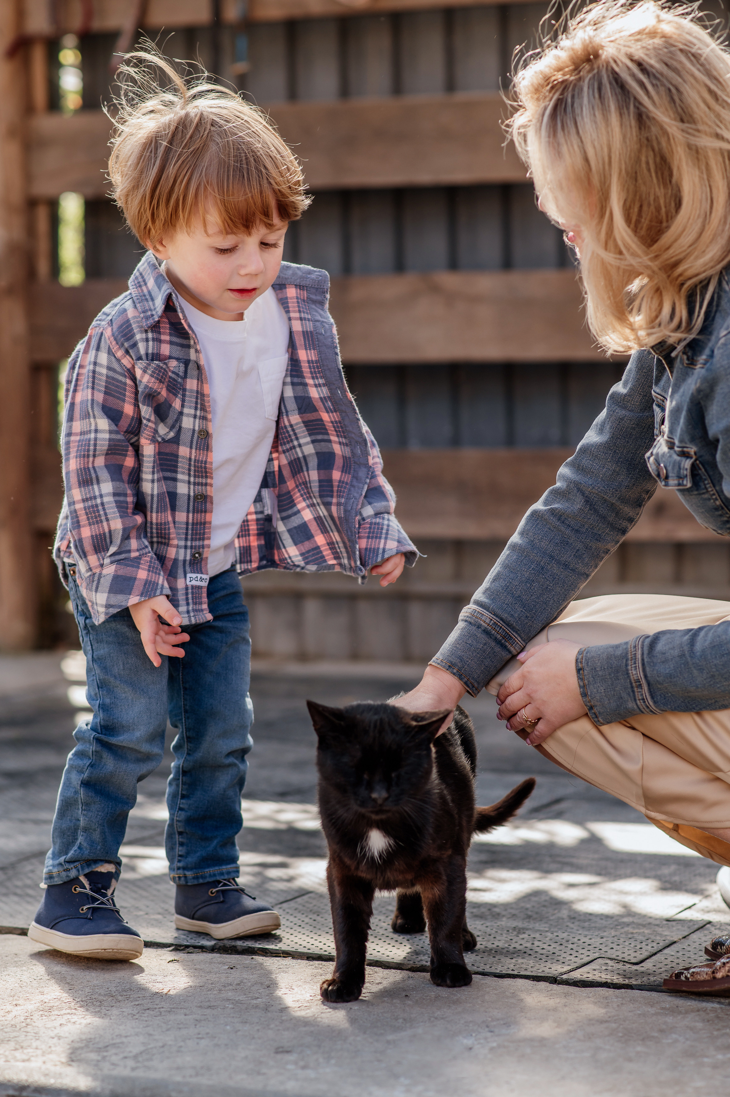 Сімейна фотосесія з кониками. Тернопіль. Сімейний, дитячий та індивідуальний фотограф в м. Тернопіль, м. Львів