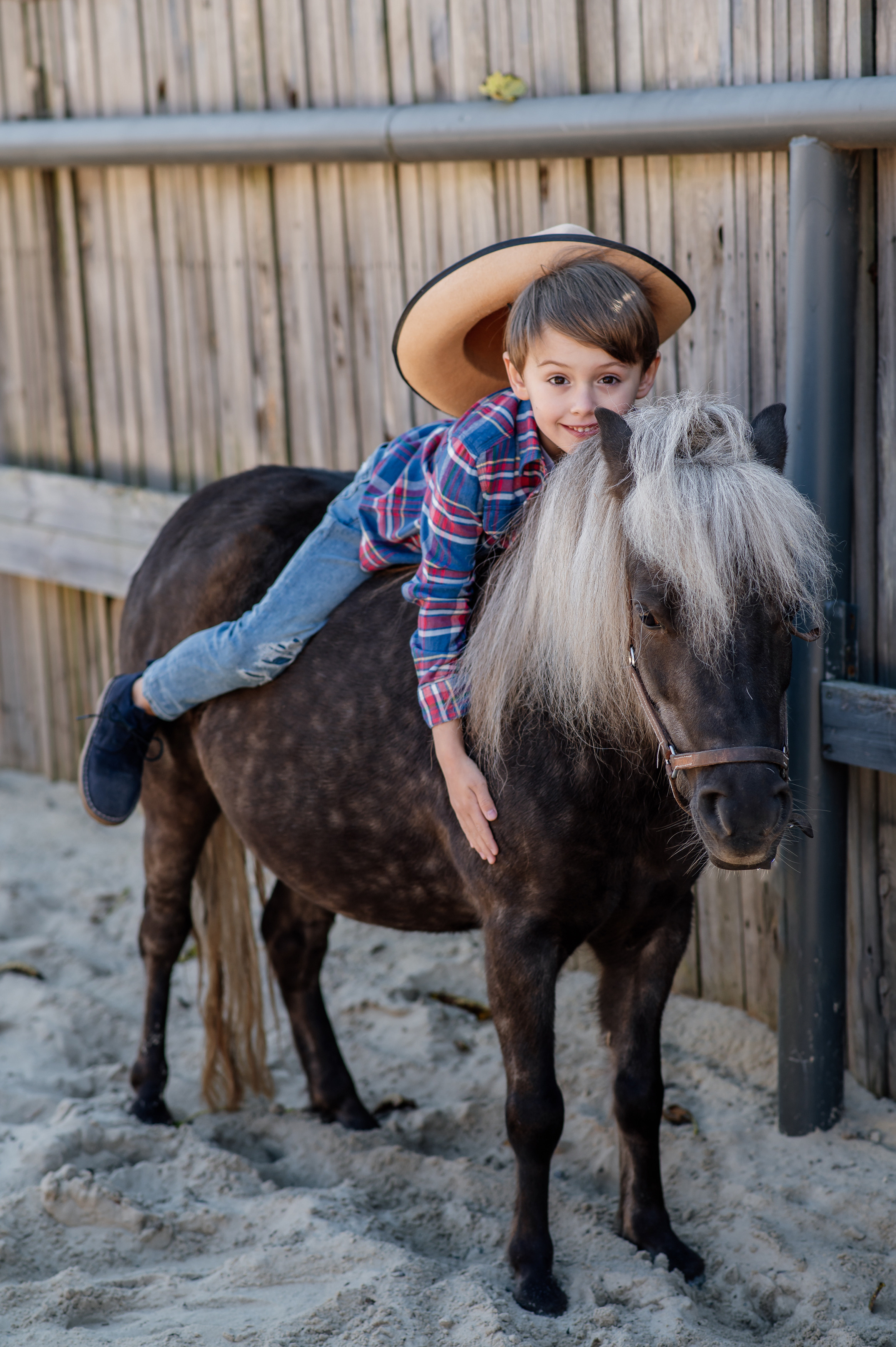Сімейна фотосесія з кониками. Тернопіль. Сімейний, дитячий та індивідуальний фотограф в м. Тернопіль, м. Львів
