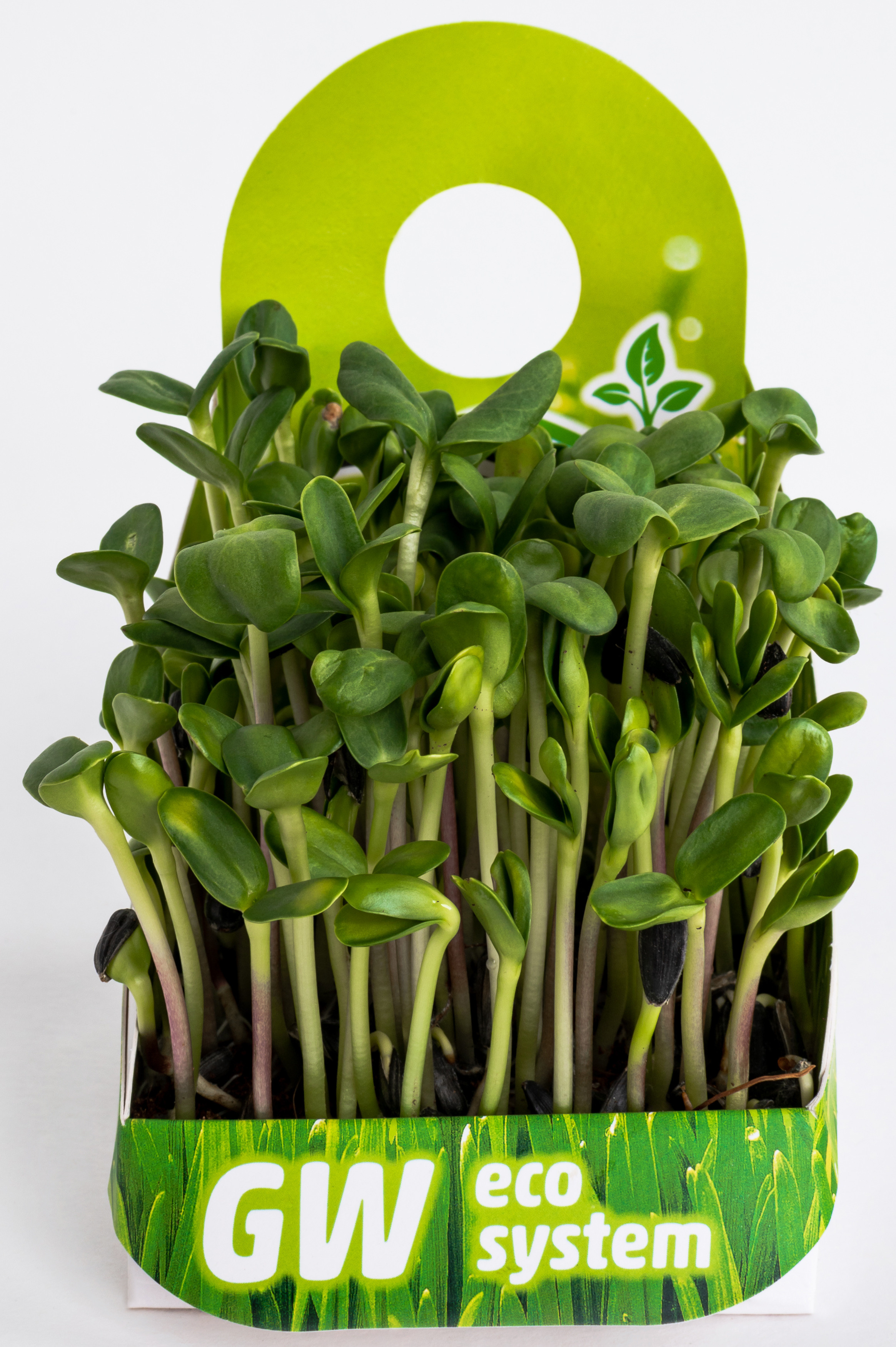 Предметні фото. Сімейний, дитячий та індивідуальний фотограф в м. Тернопіль, м. Львів