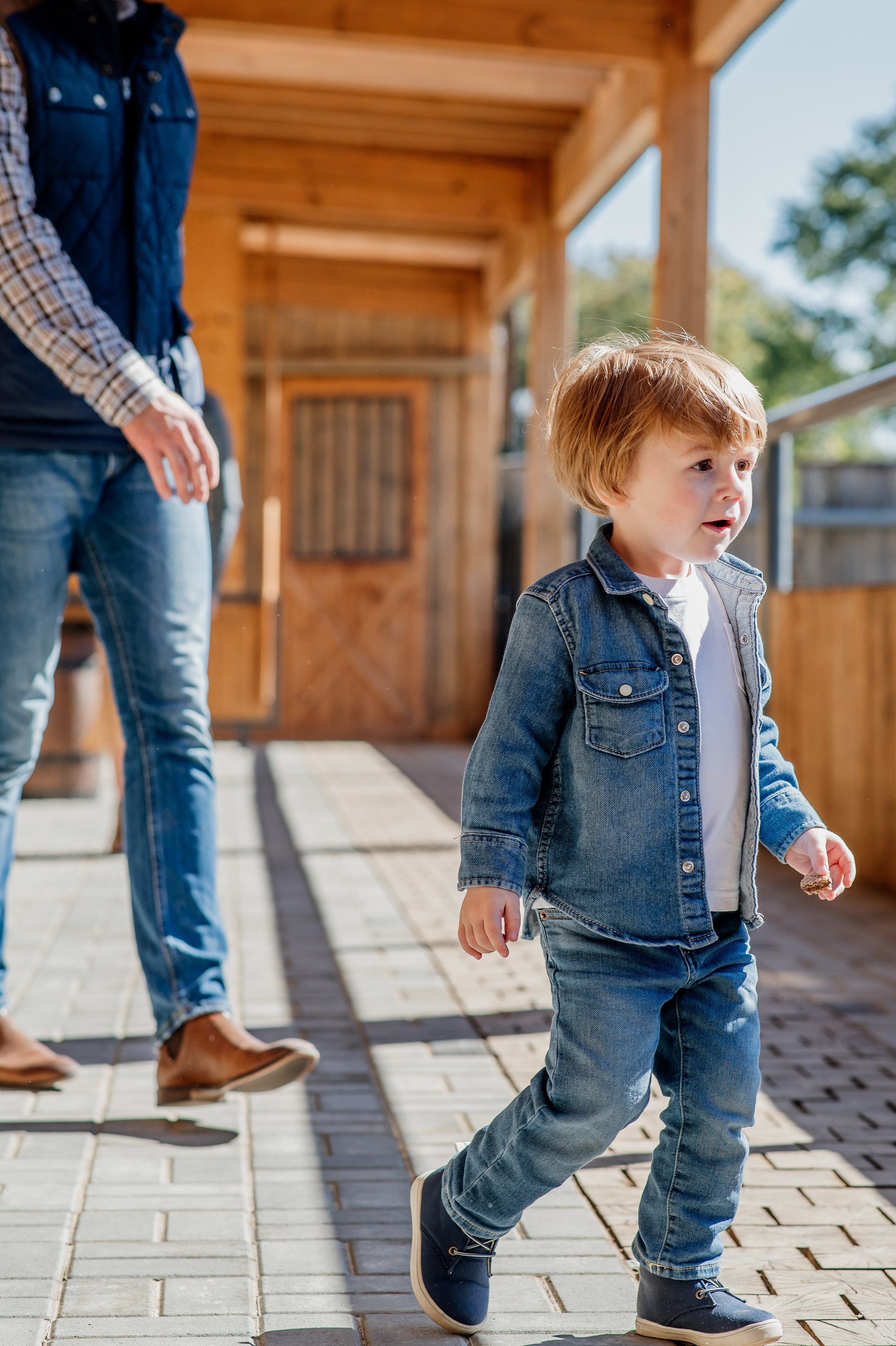Сімейна фотосесія з кониками. Тернопіль. Сімейний, дитячий та індивідуальний фотограф в м. Тернопіль, м. Львів