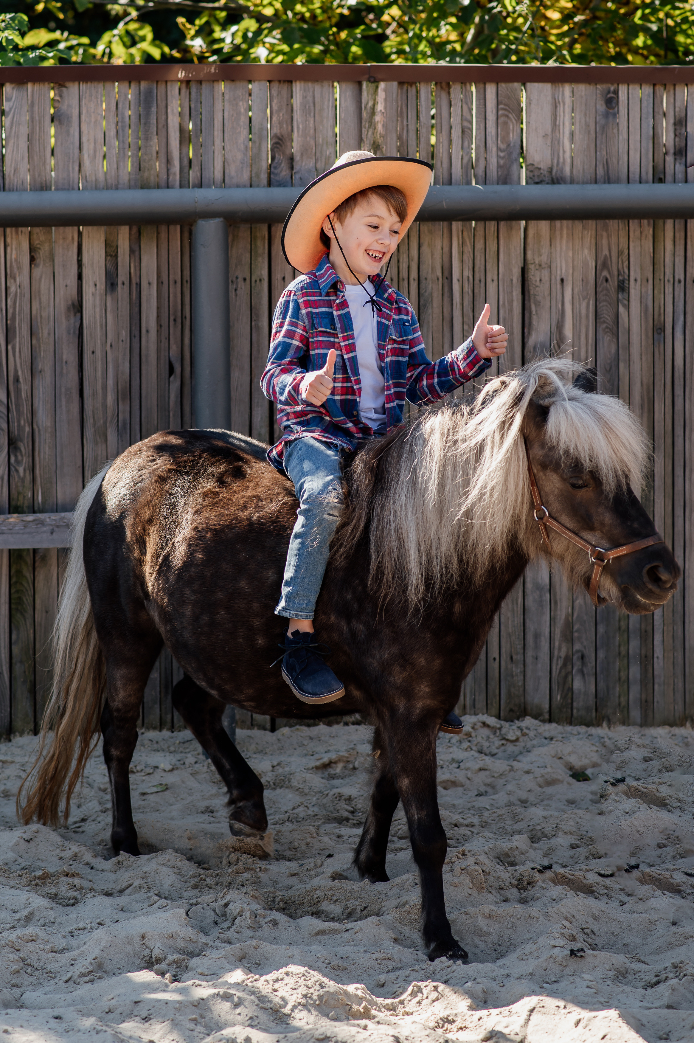 Сімейна фотосесія з кониками. Тернопіль. Сімейний, дитячий та індивідуальний фотограф в м. Тернопіль, м. Львів
