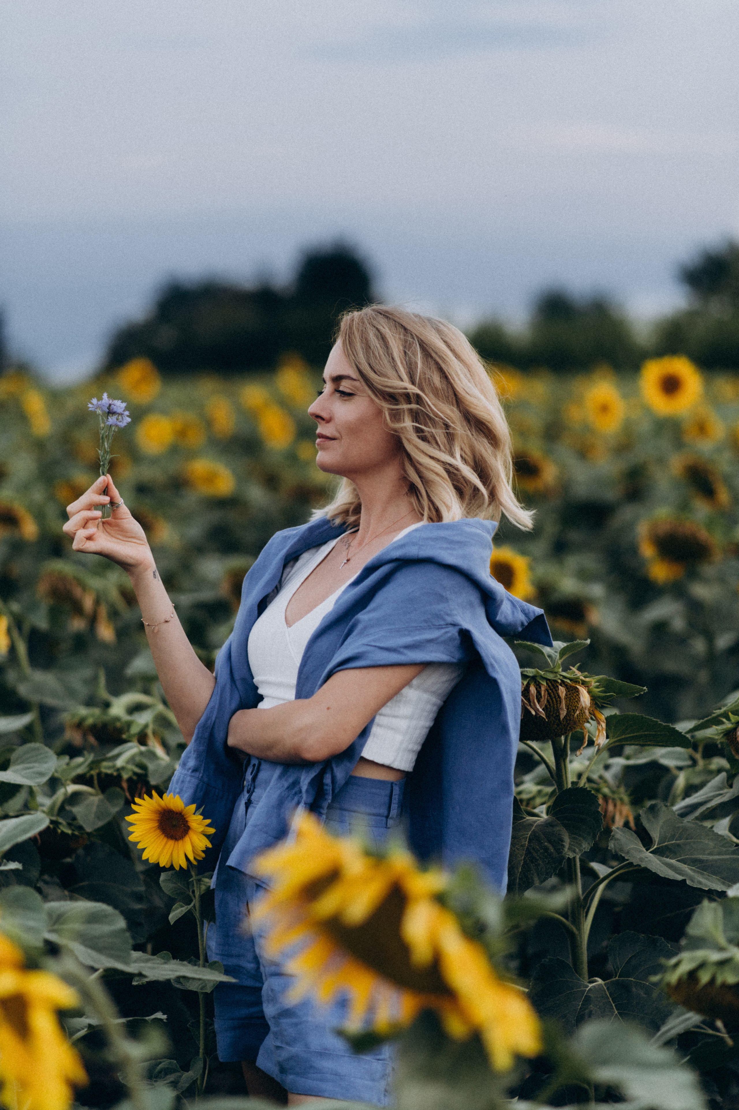 Фотосесія в пшениці та соняхах. Сімейний, дитячий та індивідуальний фотограф в м. Тернопіль, м. Львів