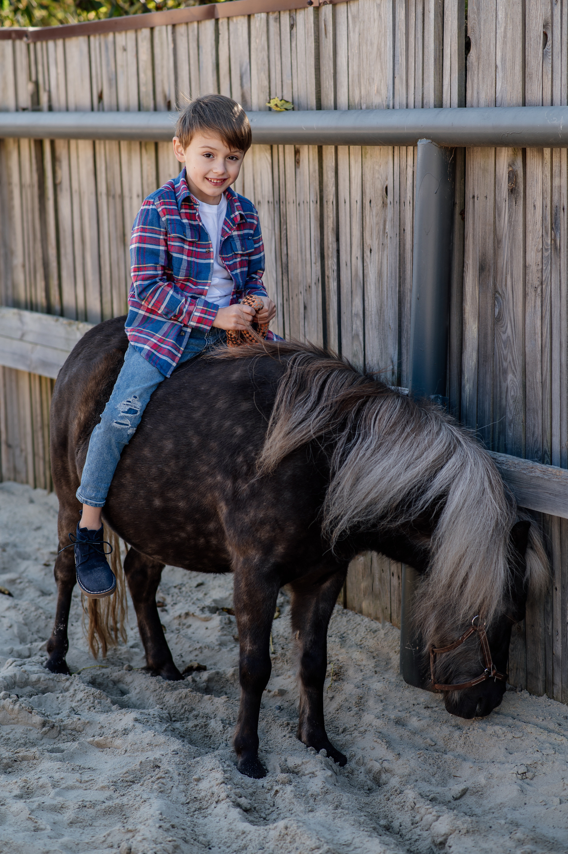 Сімейна фотосесія з кониками. Тернопіль. Сімейний, дитячий та індивідуальний фотограф в м. Тернопіль, м. Львів