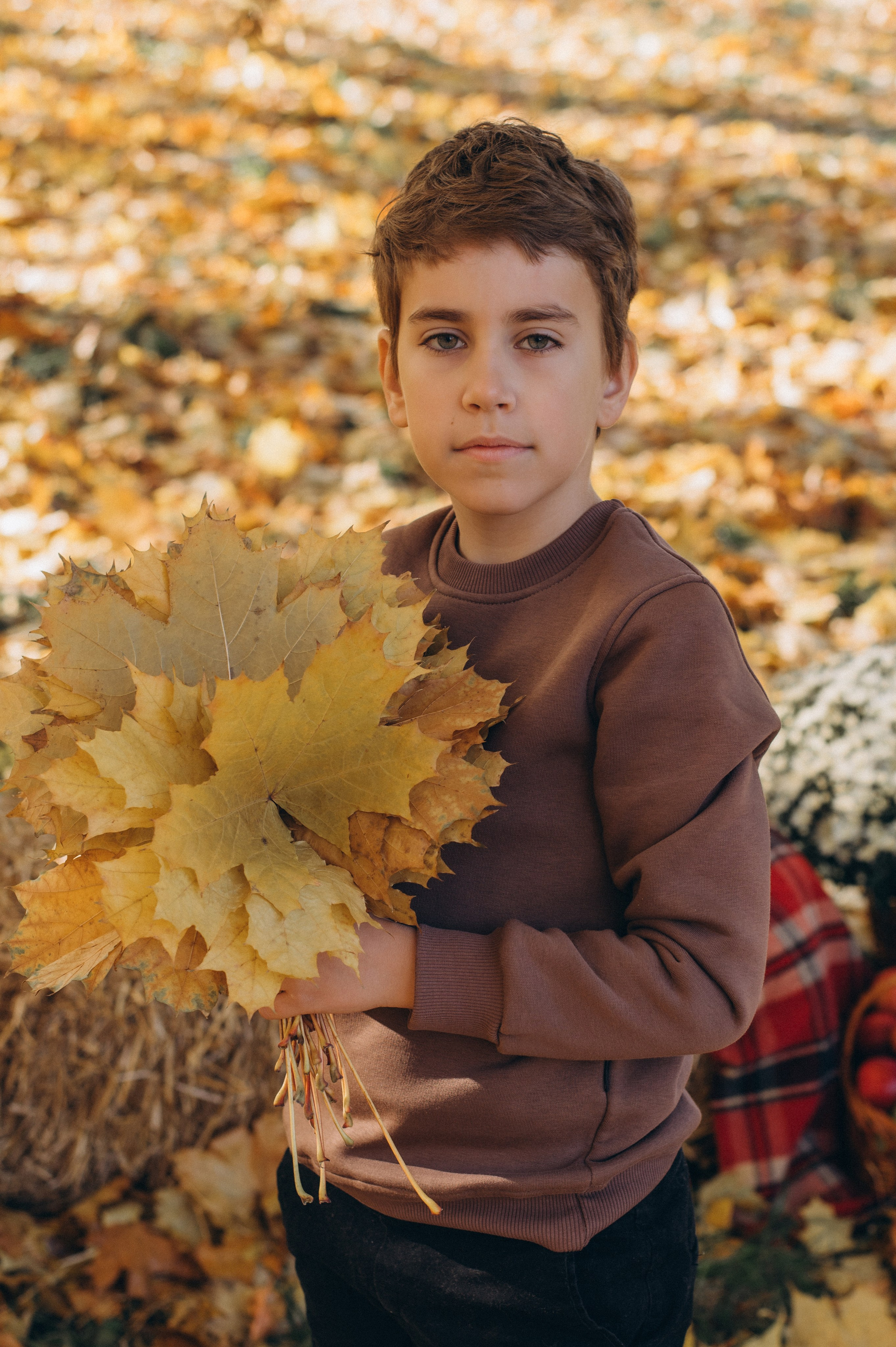 Осіння фотосесія 4 класу на віньєтки, випускні фотоальбоми Тернопіль, фотосесія випускників Тернопіль, шкільний випускний альбом Тернопіль. Сімейний, дитячий та індивідуальний фотограф в м. Тернопіль, м. Львів