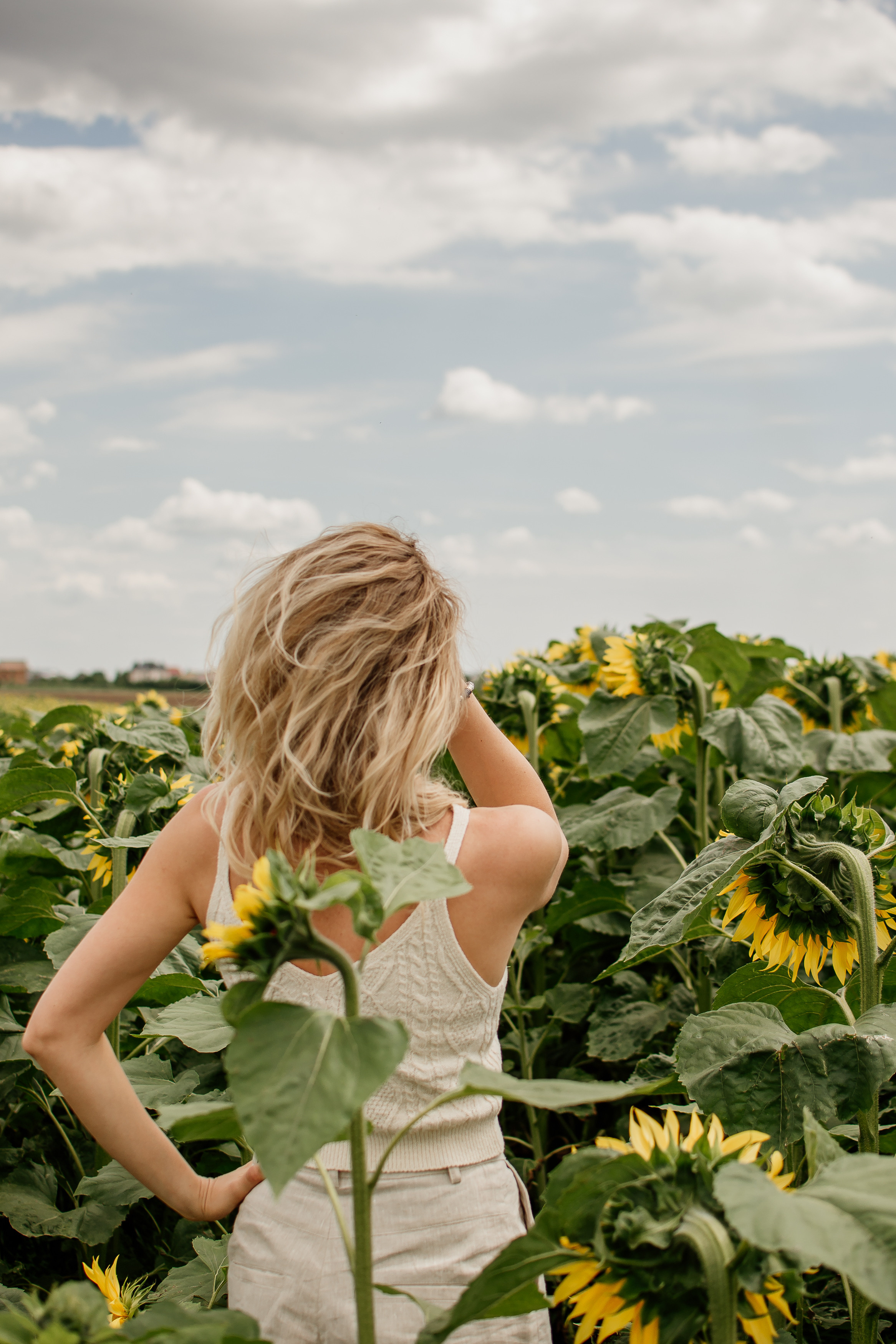 Фотосесія в пшениці. Тернопільська обл. Сімейний, дитячий та індивідуальний фотограф в м. Тернопіль, м. Львів
