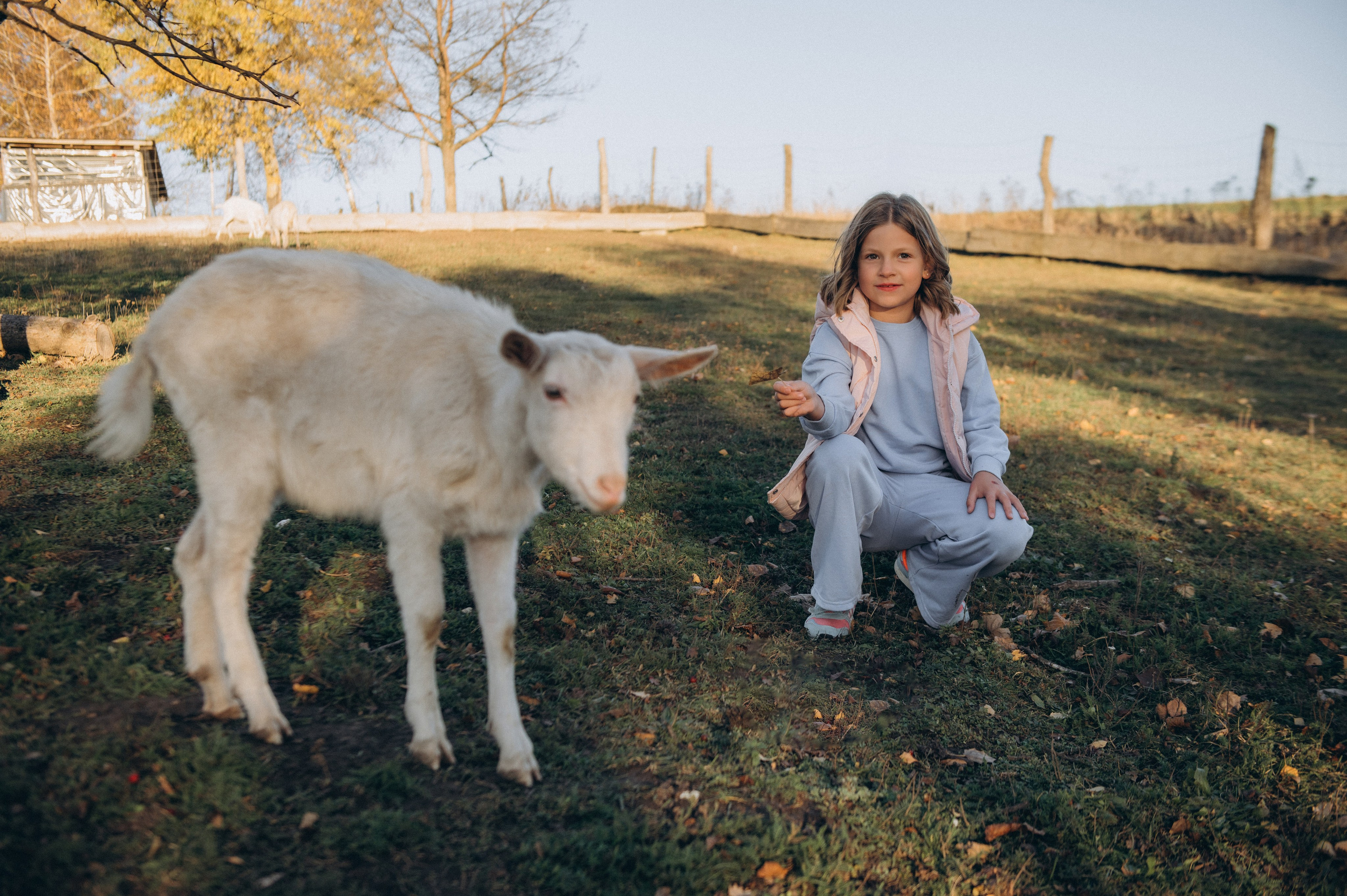 Дитячий фотограф Тернопіль, фотосесія дітей, фотосесія на природі, зйомка у Веселі козенята, фотосесія дня народження Тернопіль. Сімейний, дитячий та індивідуальний фотограф в м. Тернопіль, м. Львів