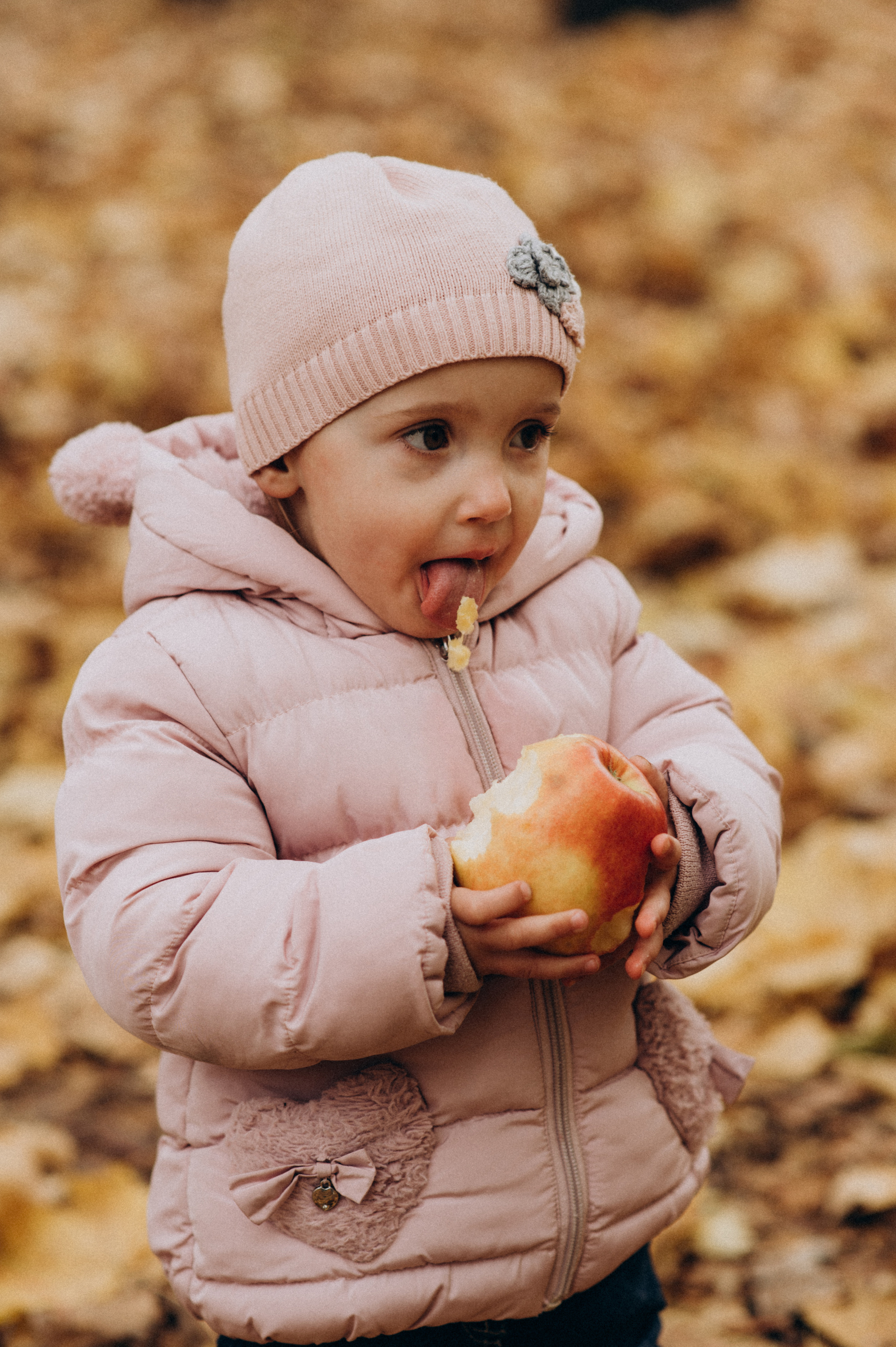 Осіння сімейна фотосесія. Сімейний, дитячий та індивідуальний фотограф в м. Тернопіль, м. Львів
