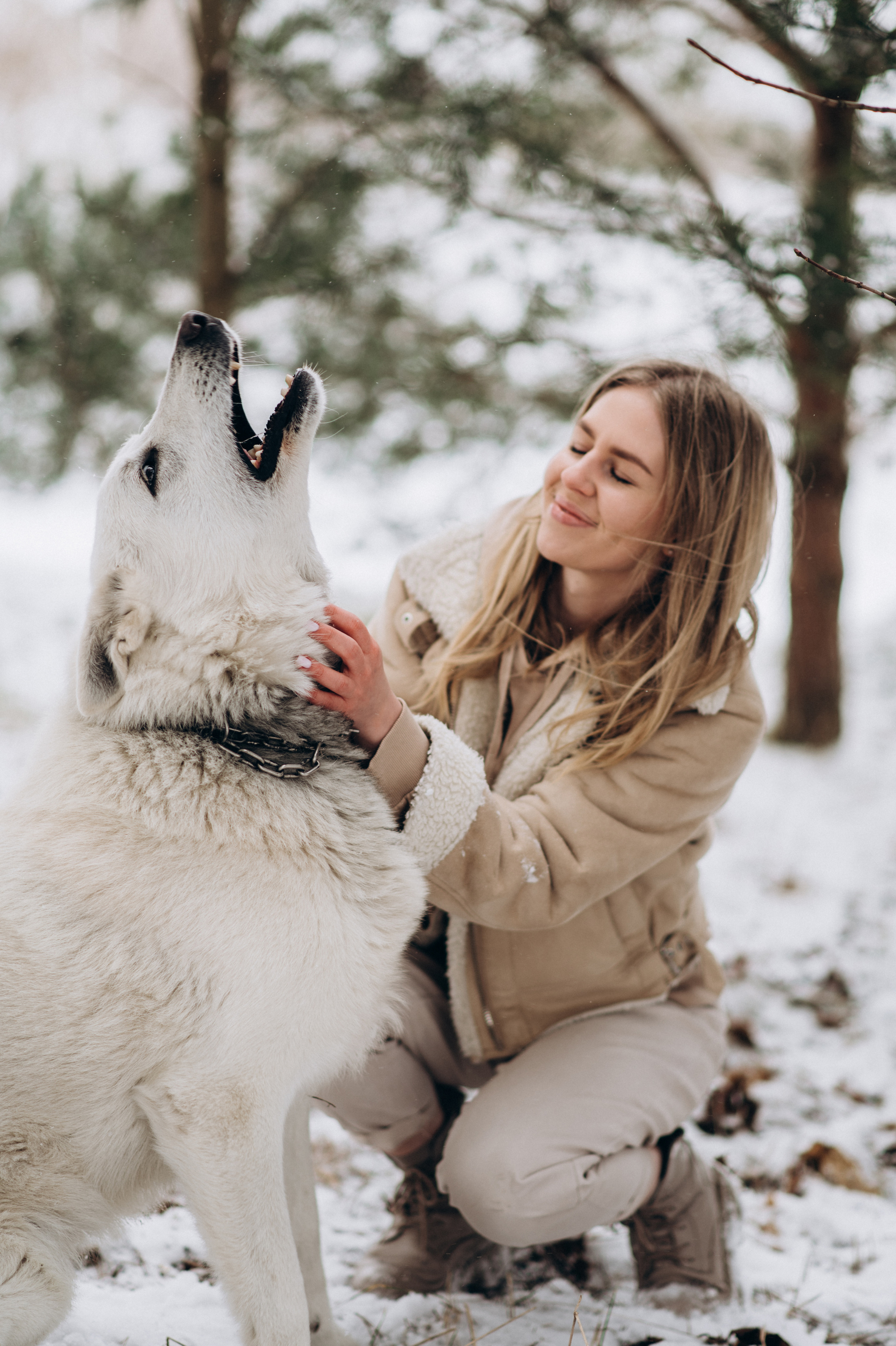 Зйомка з собакою Oleksandra & Volt. Сімейний, дитячий та індивідуальний фотограф в м. Тернопіль, м. Львів