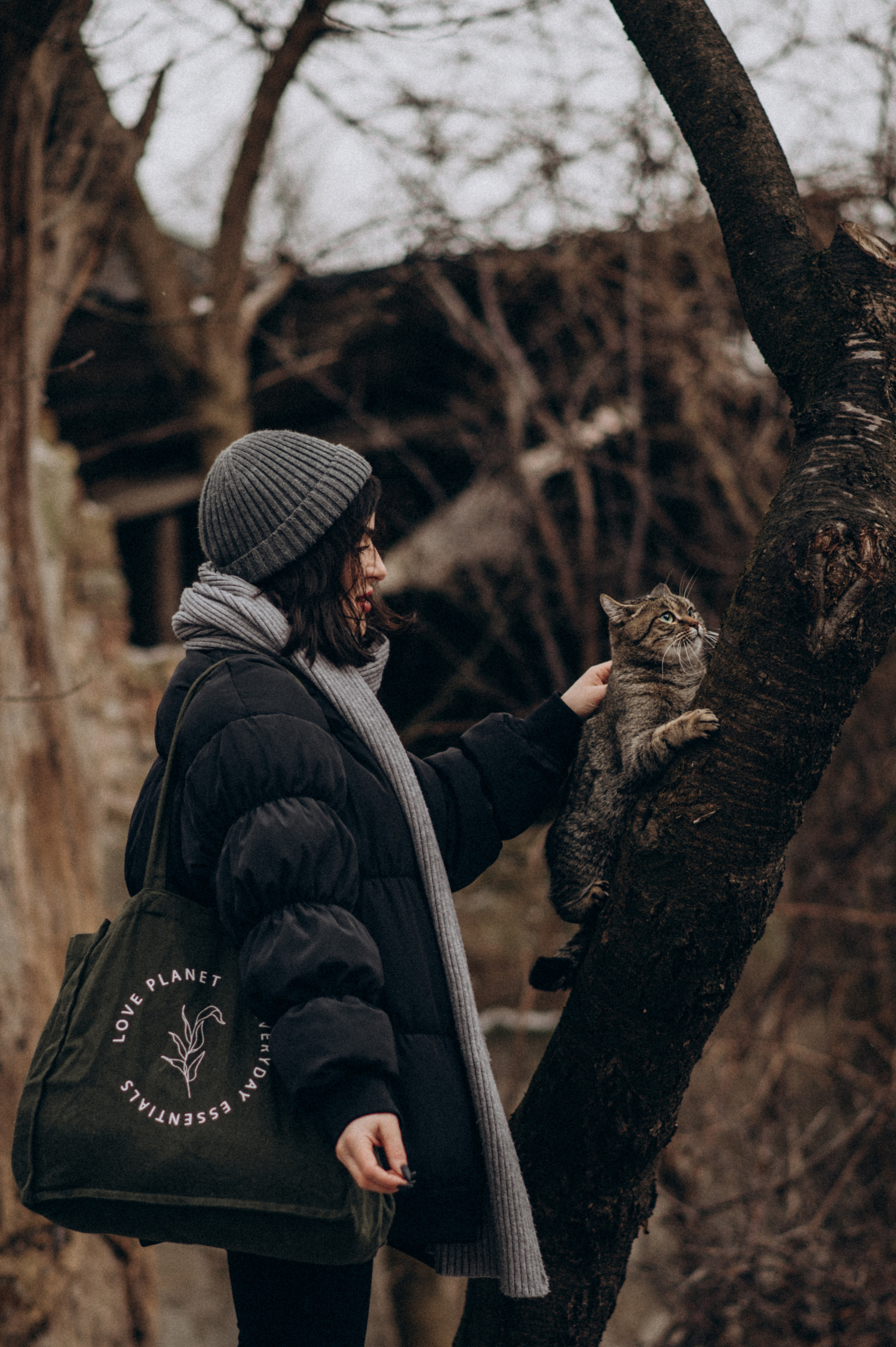 Фотосесія з котиком. Сімейний, дитячий та індивідуальний фотограф в м. Тернопіль, м. Львів