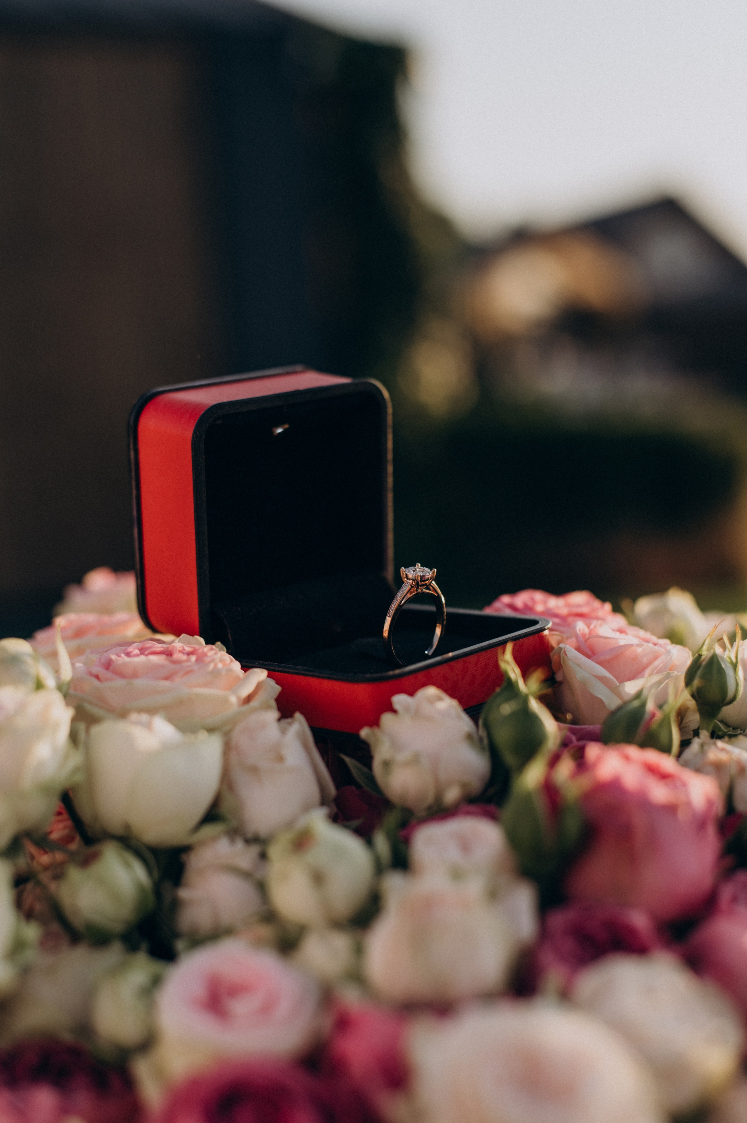 Фотосесія освідчення, фотосесія лавсторі, фотограф Тернопіль, зйомка освідчення. Сімейний, дитячий та індивідуальний фотограф в м. Тернопіль, м. Львів