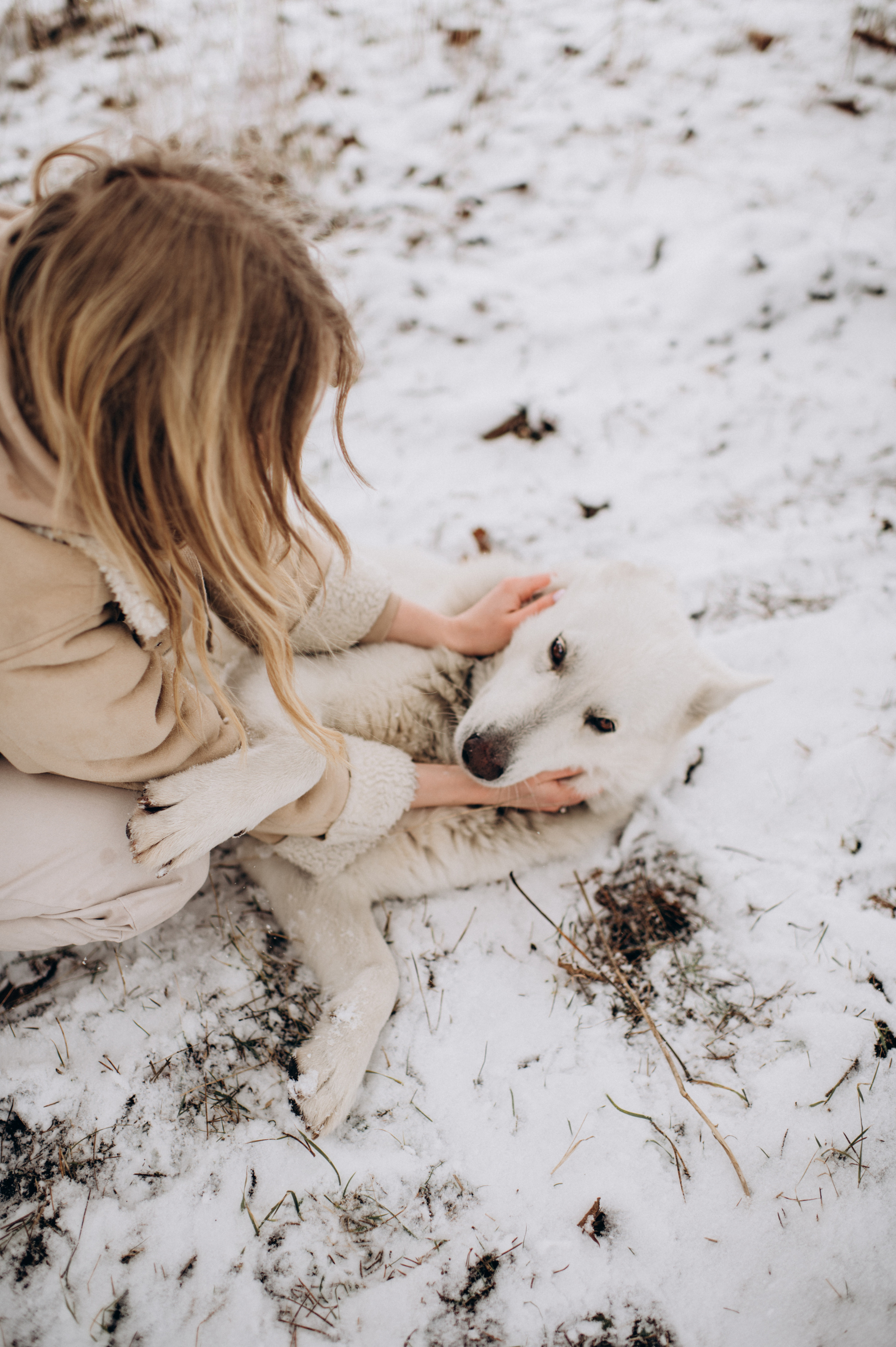 Зйомка з собакою Oleksandra & Volt. Сімейний, дитячий та індивідуальний фотограф в м. Тернопіль, м. Львів