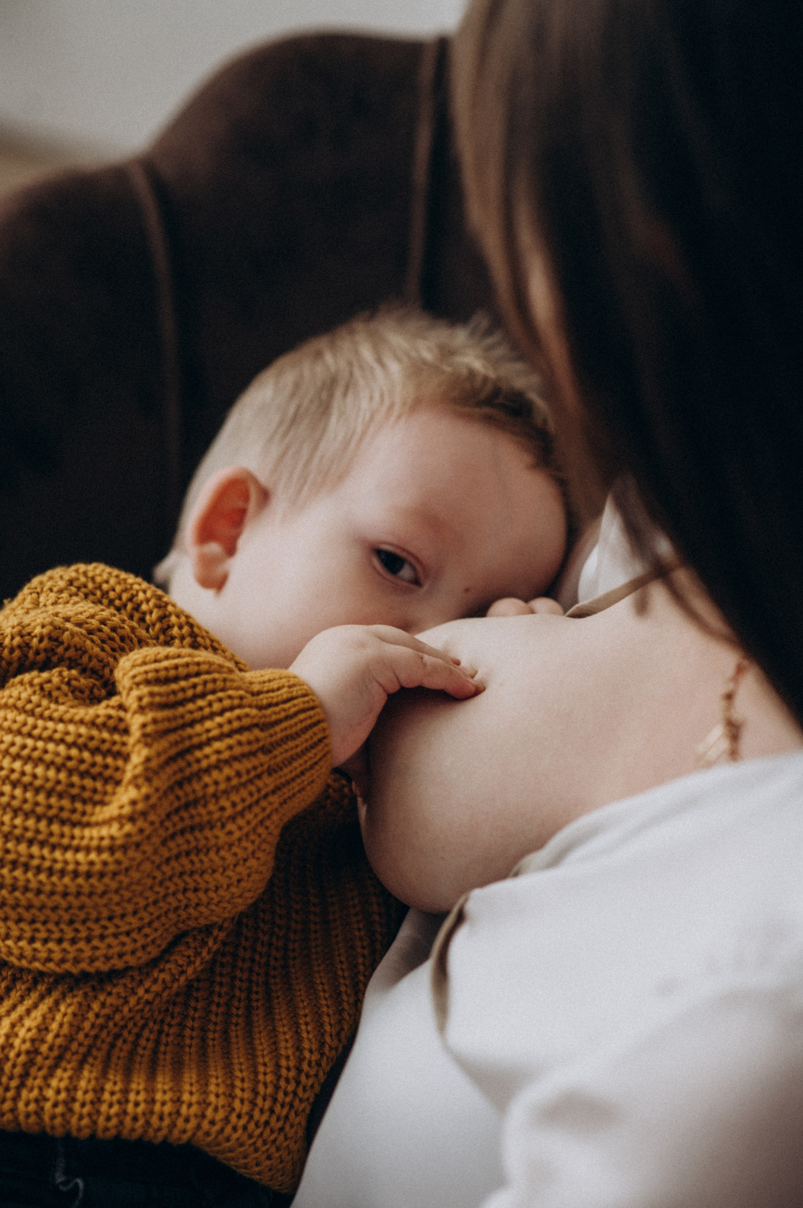 Новорічна фотосесія у студії Тернополя, фотосесія Львів. Сімейний, дитячий та індивідуальний фотограф в м. Тернопіль, м. Львів