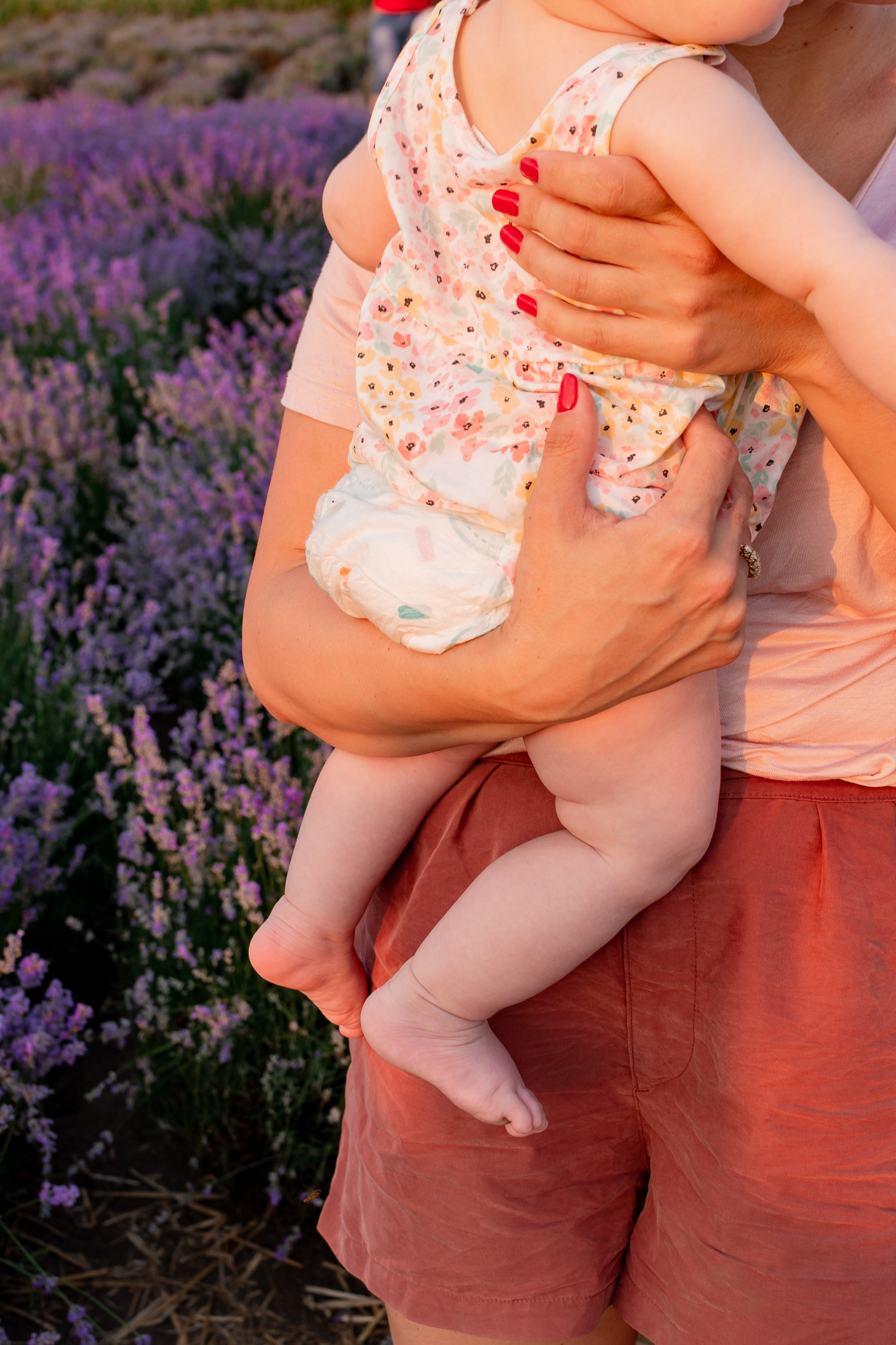 Сімейна фотосесія в лаванді. Микола, Христина, Марк, Макар, Меланія. Сімейний, дитячий та індивідуальний фотограф в м. Тернопіль, м. Львів