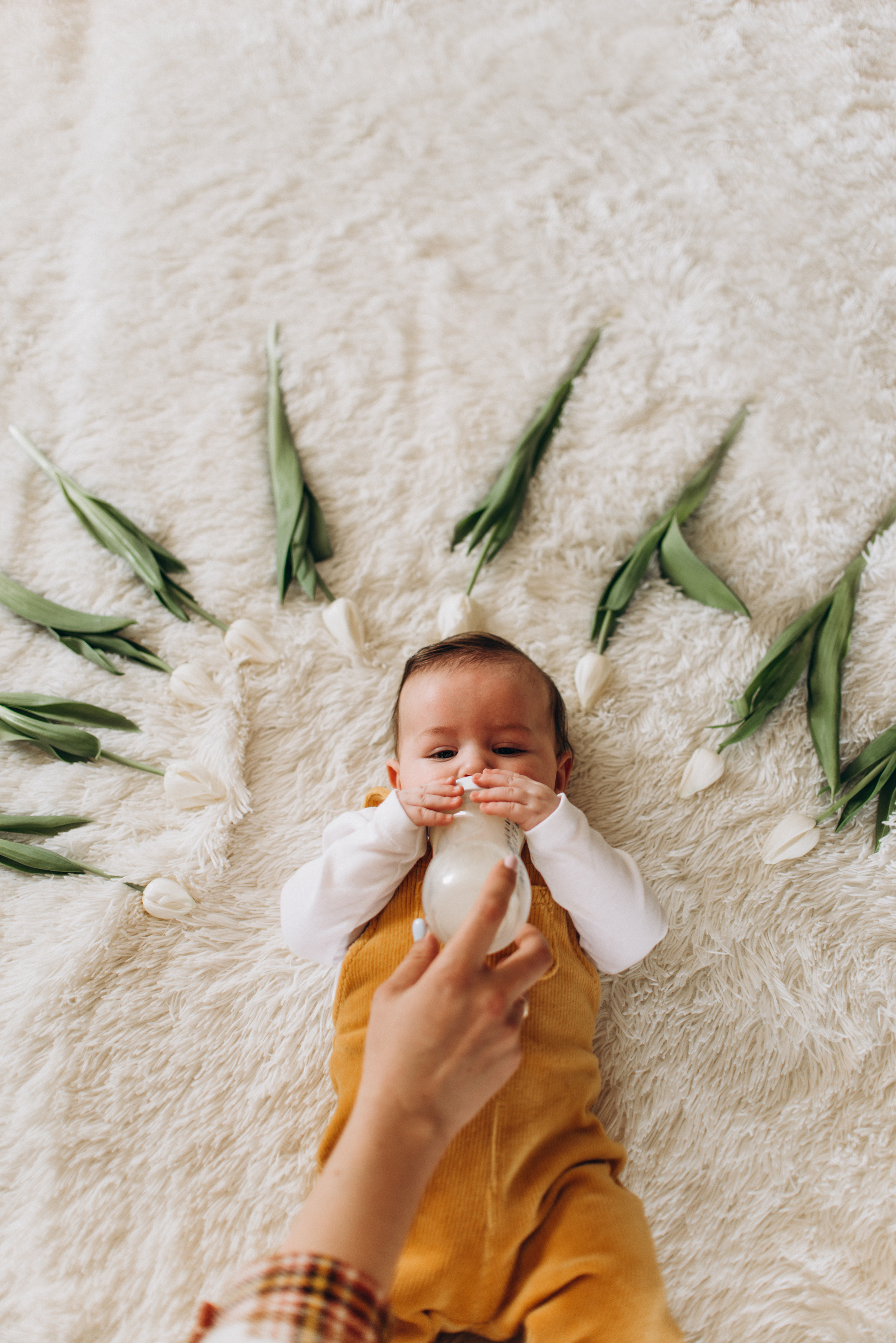 Сімейний фотограф Тернопіль, сімейна фотосесія Львів, зйомка новонароджених Тернопіль. Сімейний, дитячий та індивідуальний фотограф в м. Тернопіль, м. Львів