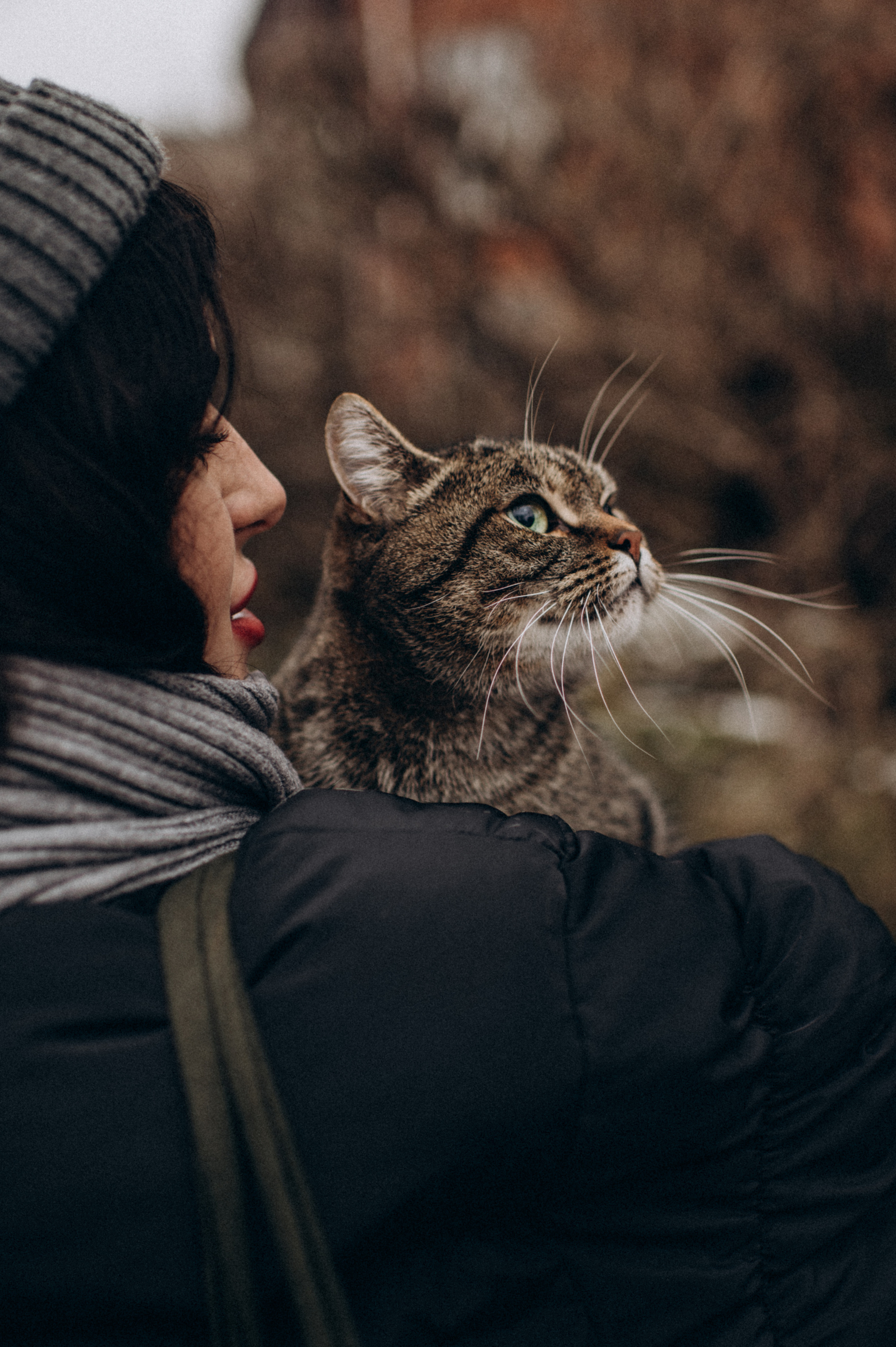 Фотосесія з котиком. Сімейний, дитячий та індивідуальний фотограф в м. Тернопіль, м. Львів